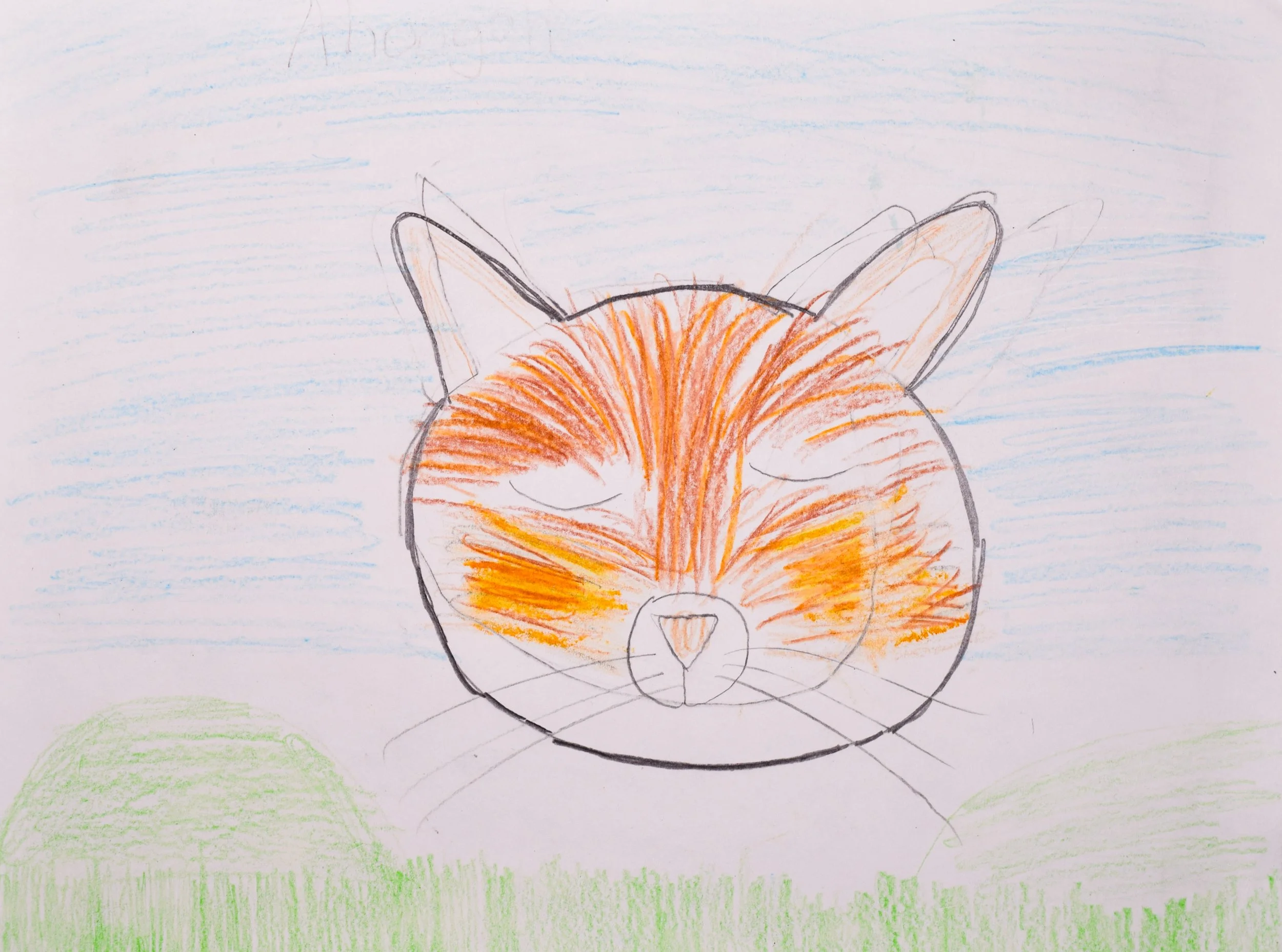 Ashlyn R Boyle-2.jpg