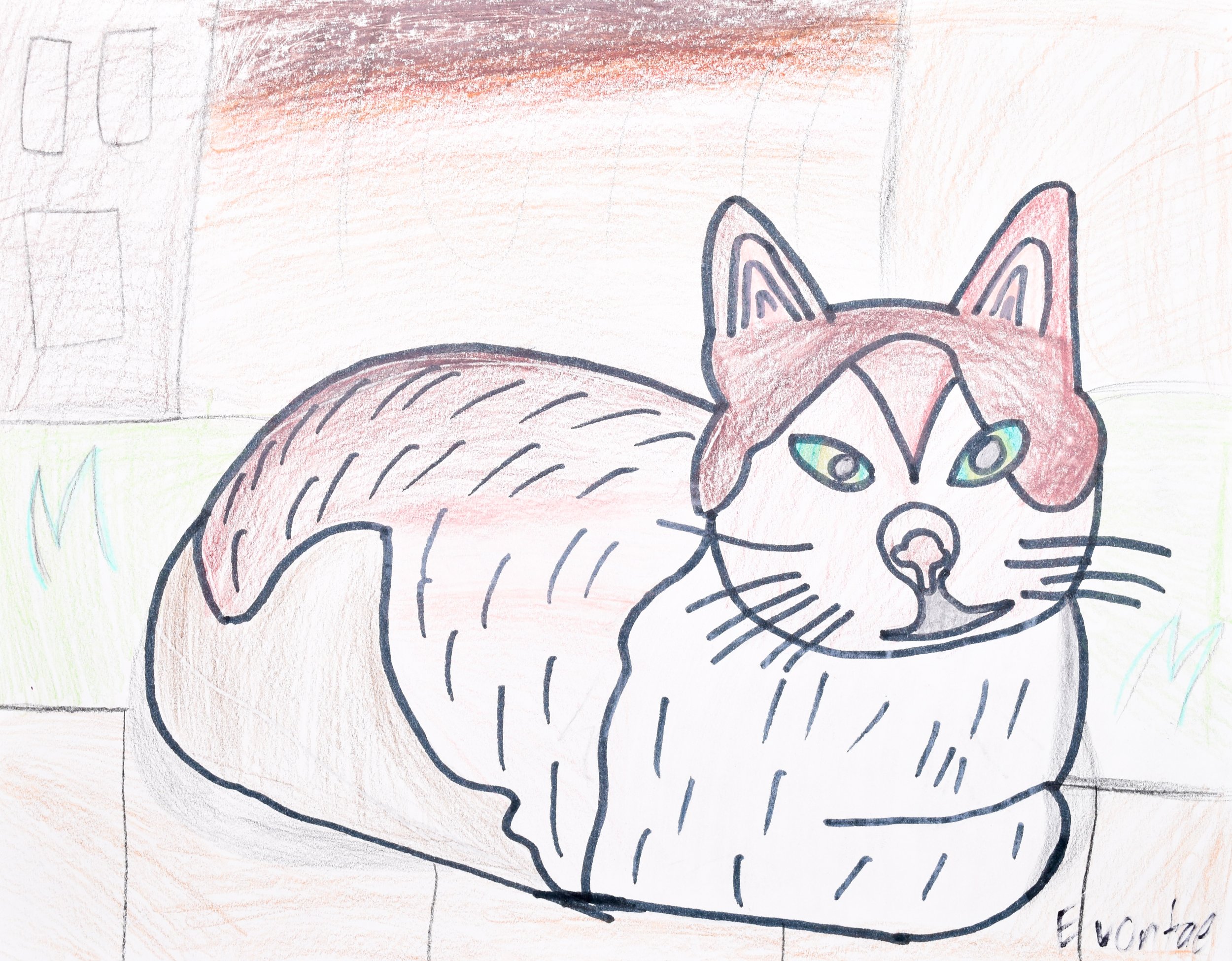 Evontae H Windwer-Geppi-2.jpg