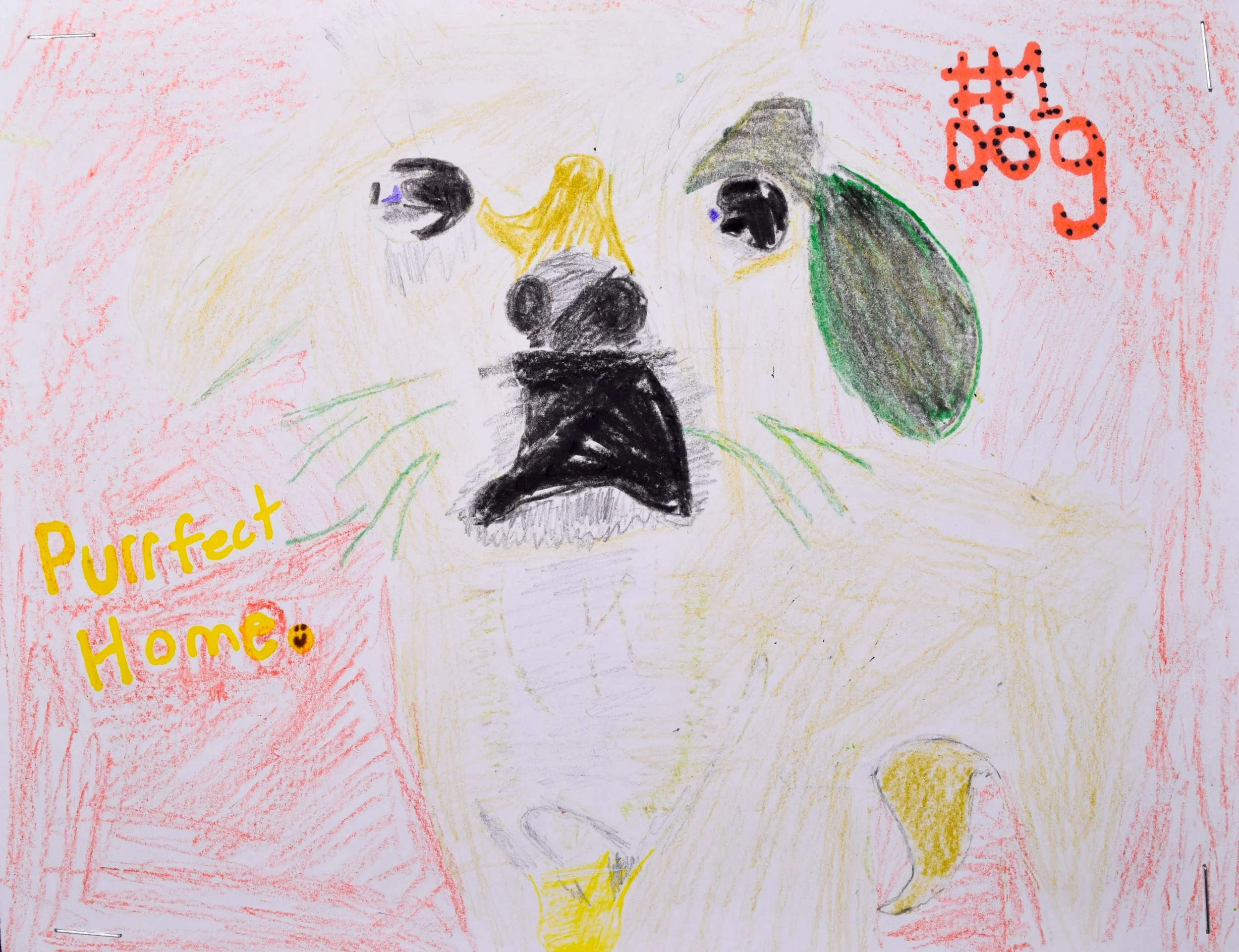 Logan C Robertson-2.jpg