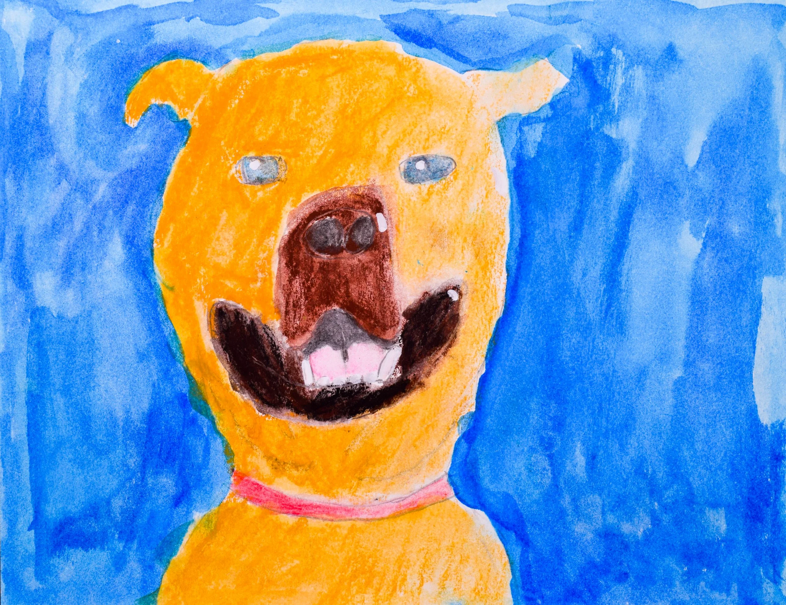 Seth S Momenzadeh-2.jpg