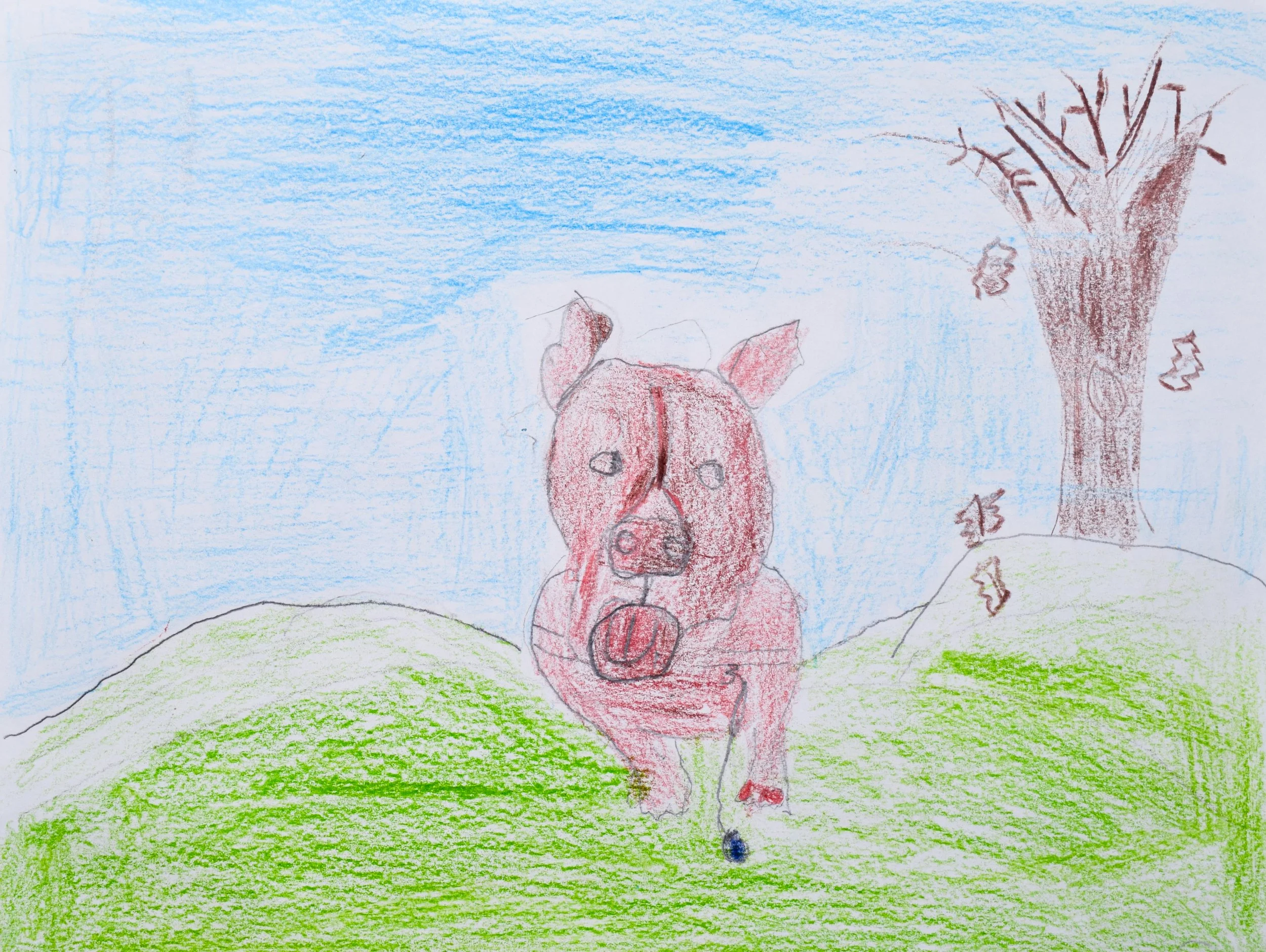 Natalie P Liberto-2.jpg