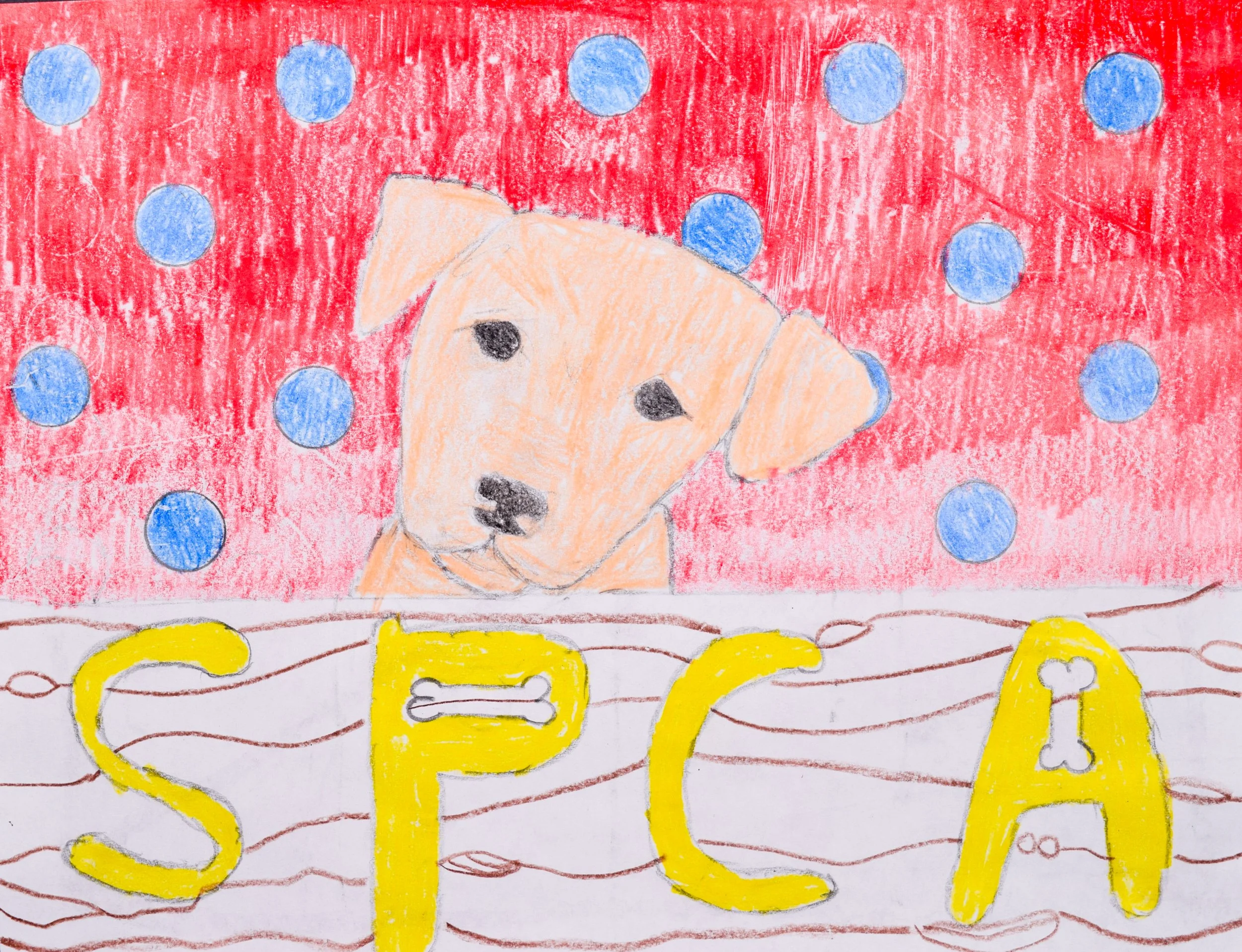 Hailey P Simpson-2.jpg