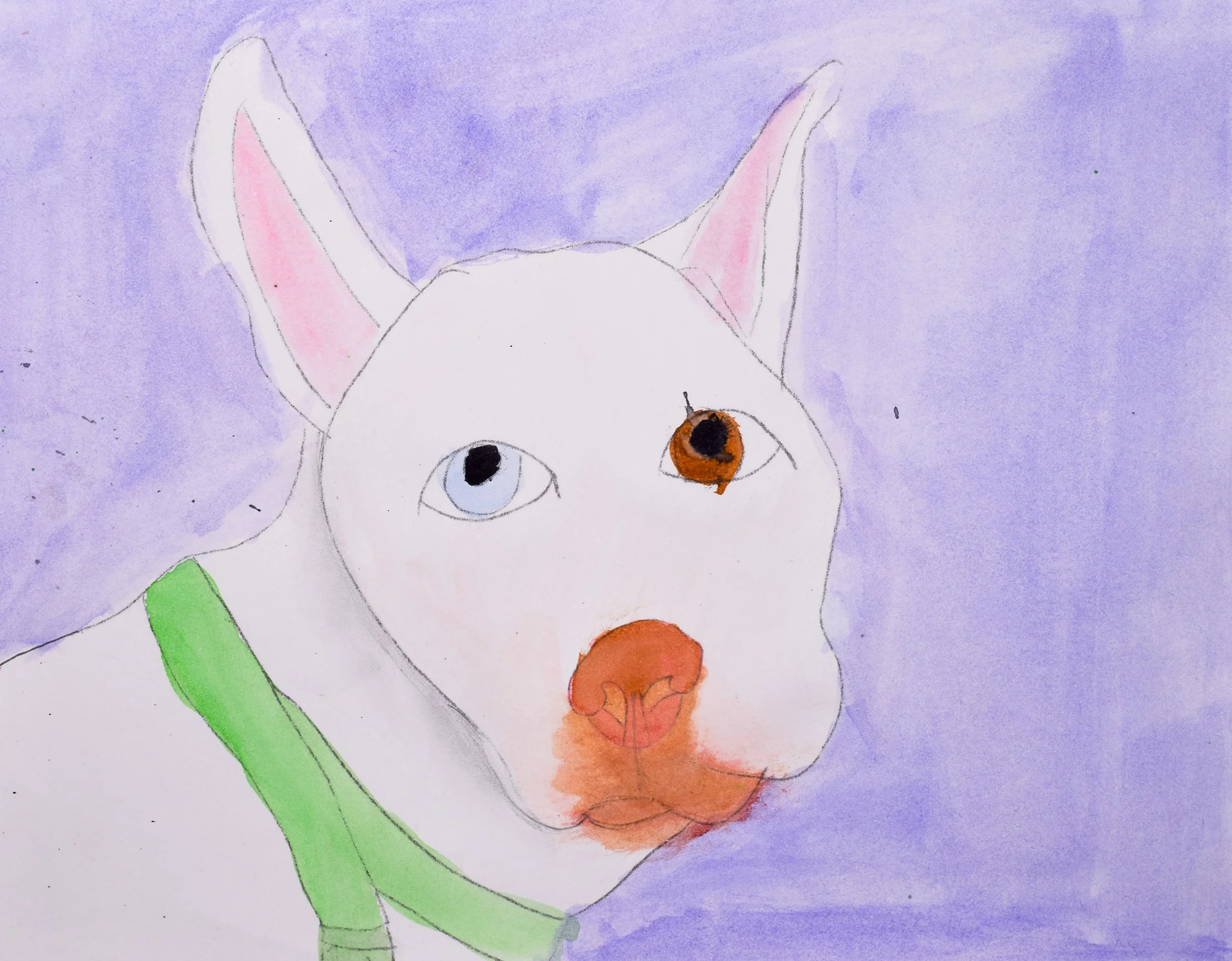 Luciana D Momenzadeh-2.jpg