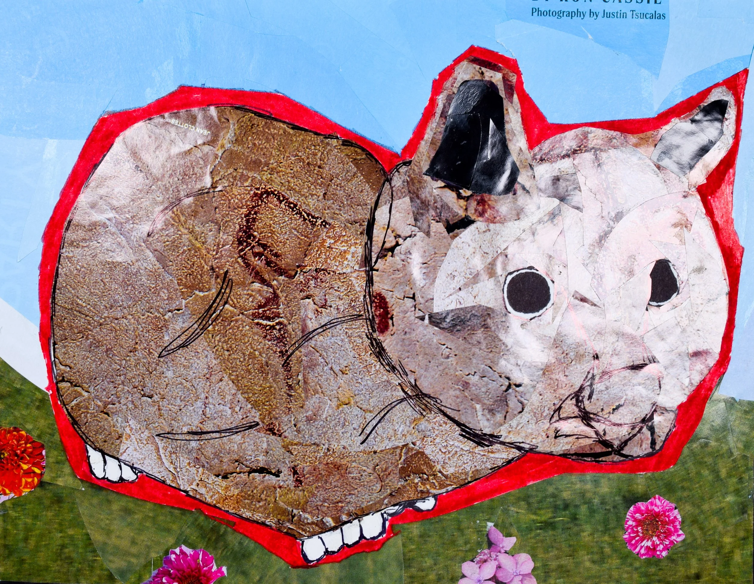 Rhiofiat Y Schappel-2.jpg