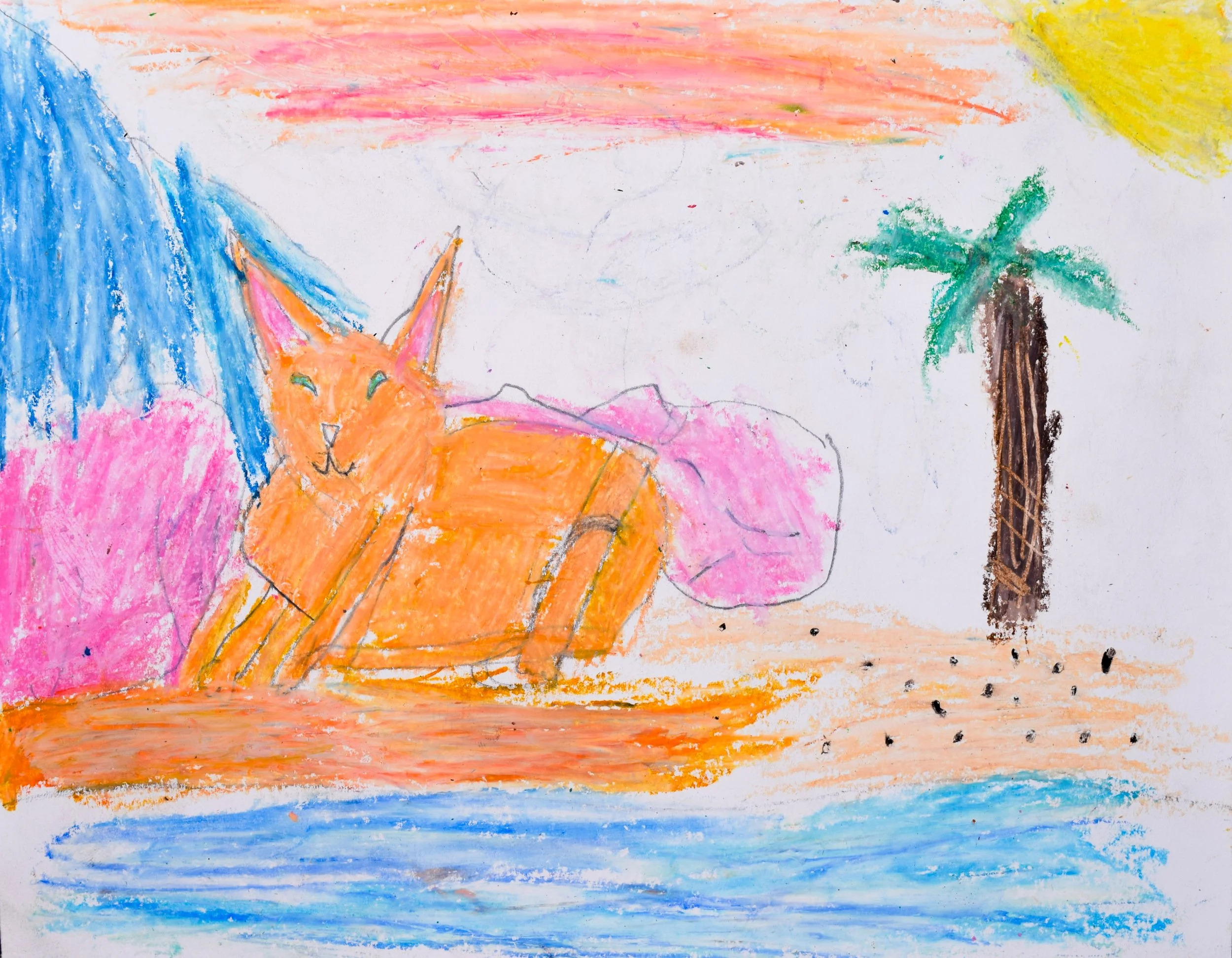 Richard G Boyle-2.jpg