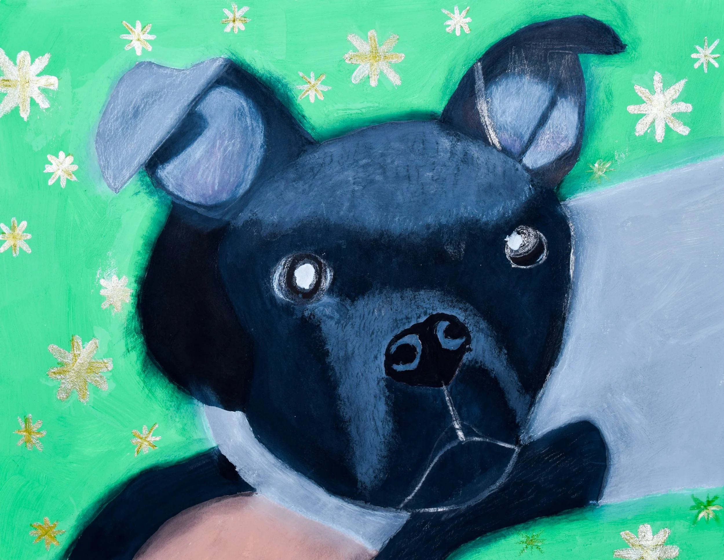 Alyssa P Schappel-2.jpg