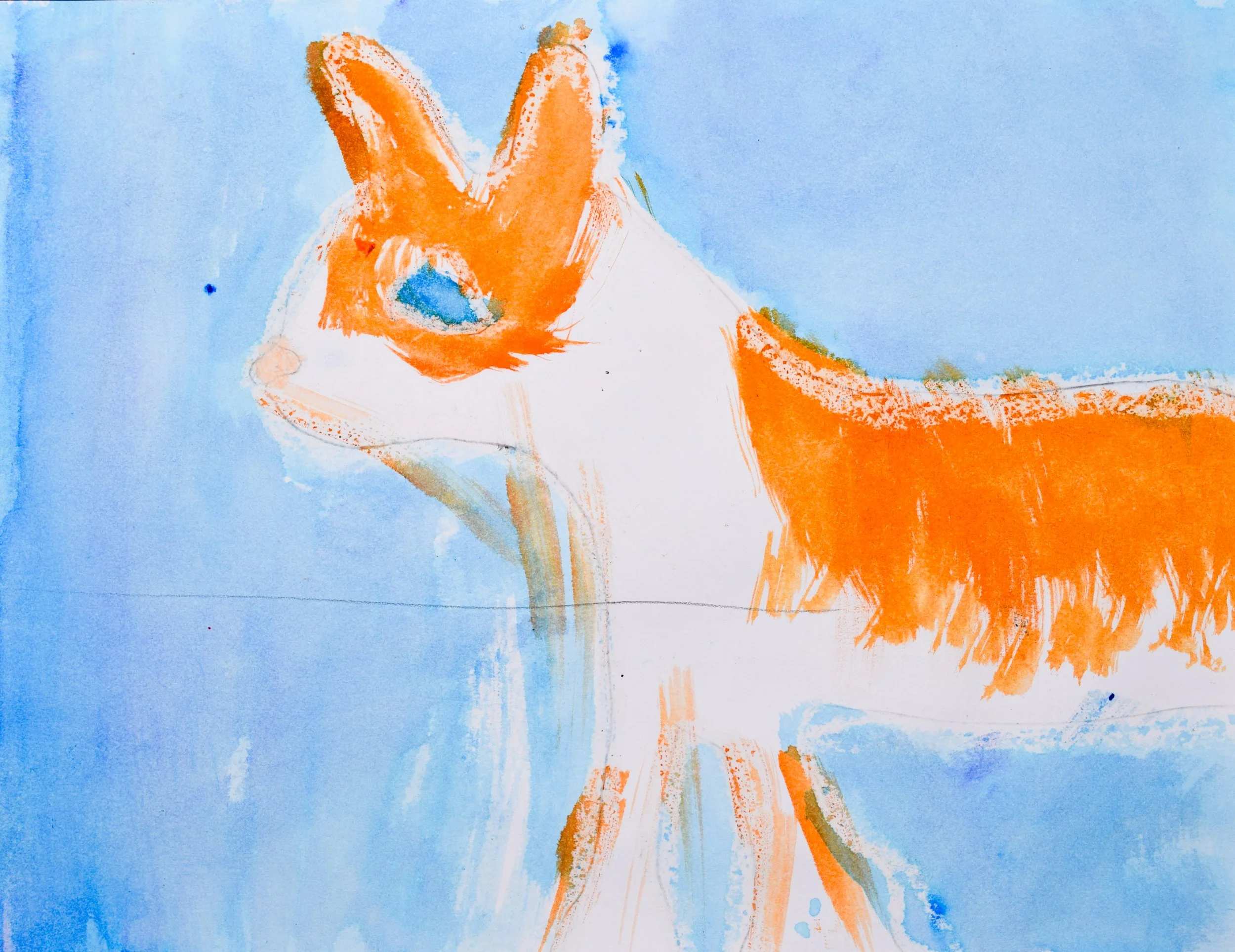 Camden G Momenzadeh-2.jpg