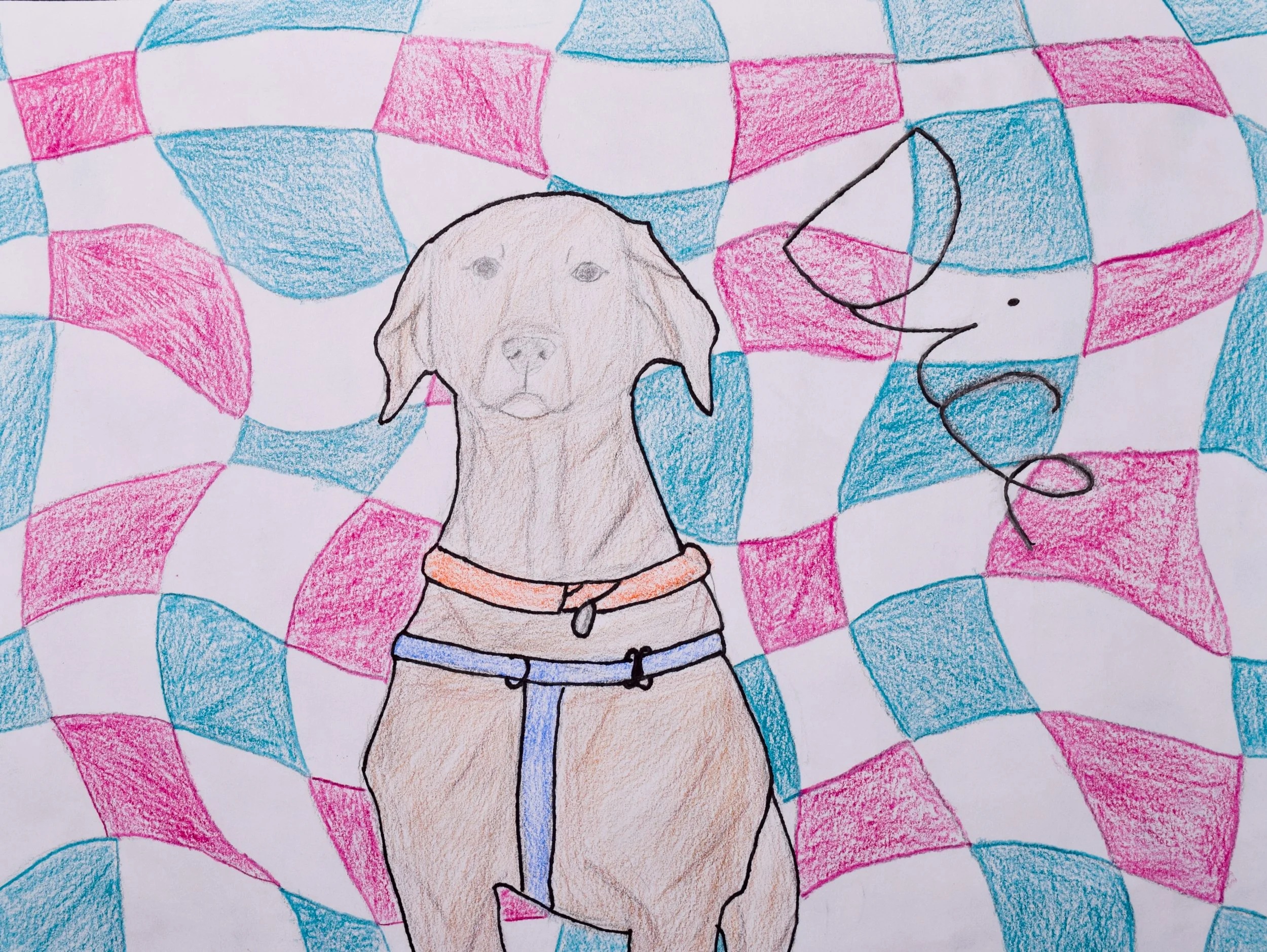 Camden K Graham-2.jpg