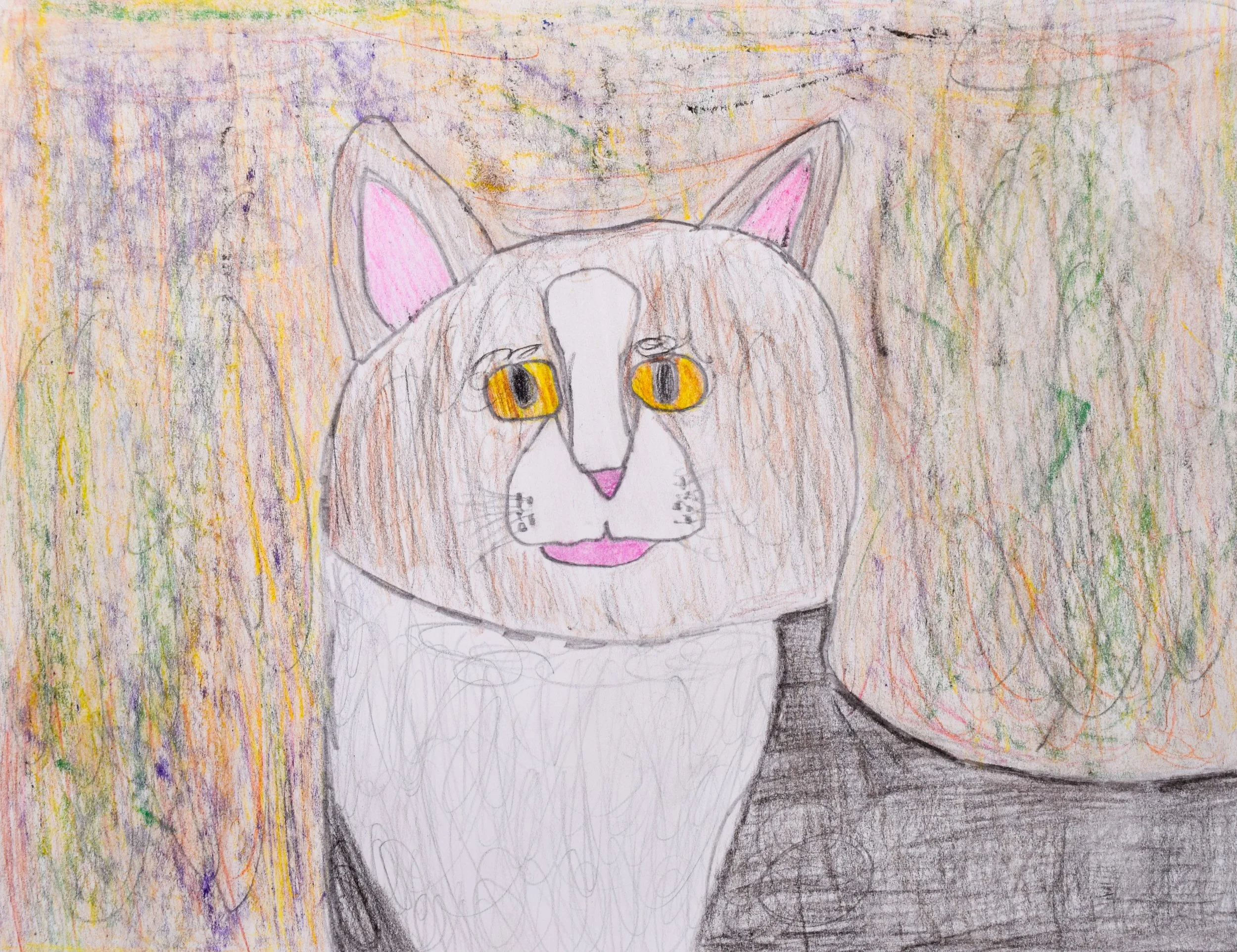 James K Momenzadeh-2.jpg