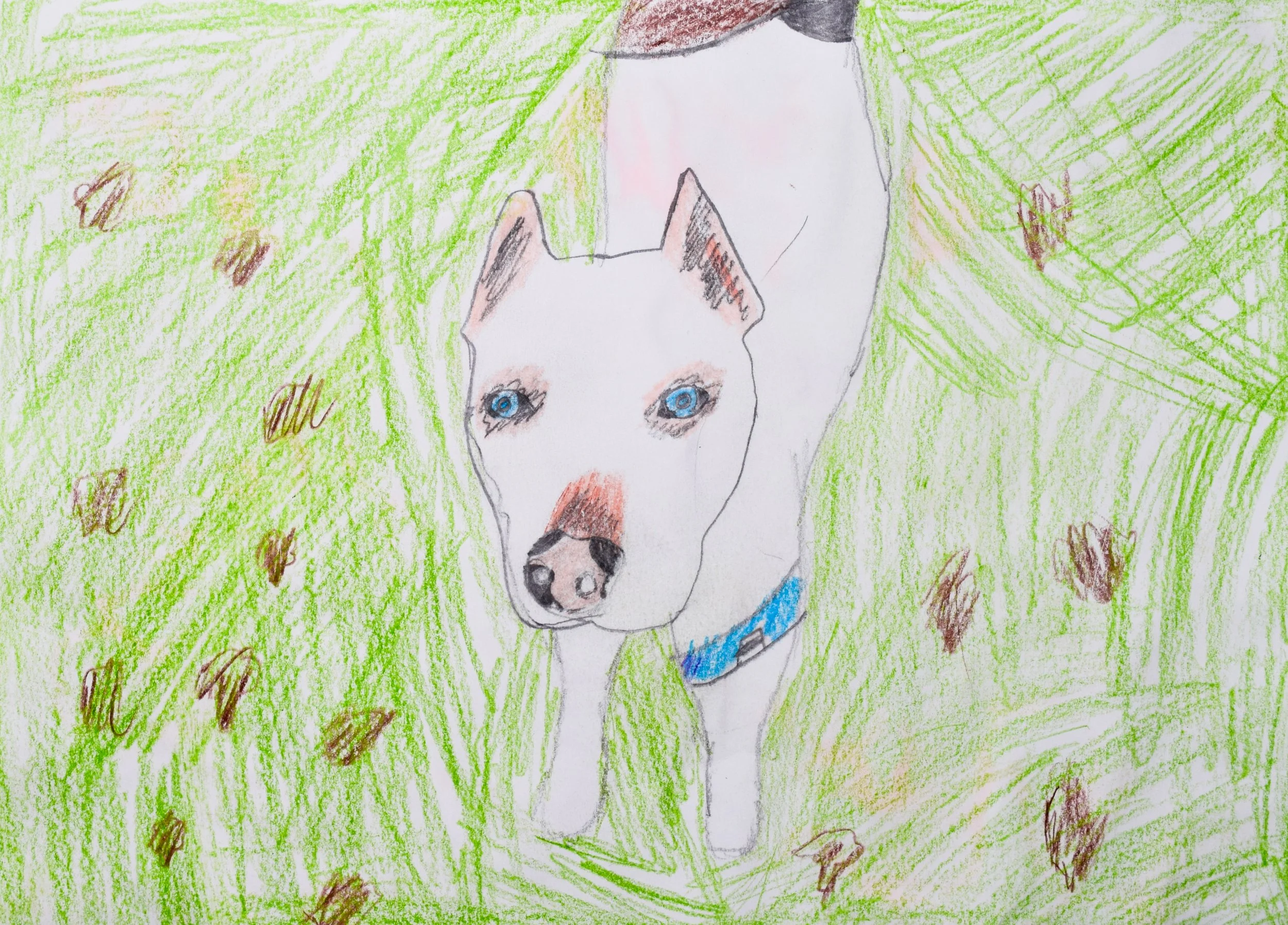 Terron T Graham-2.jpg