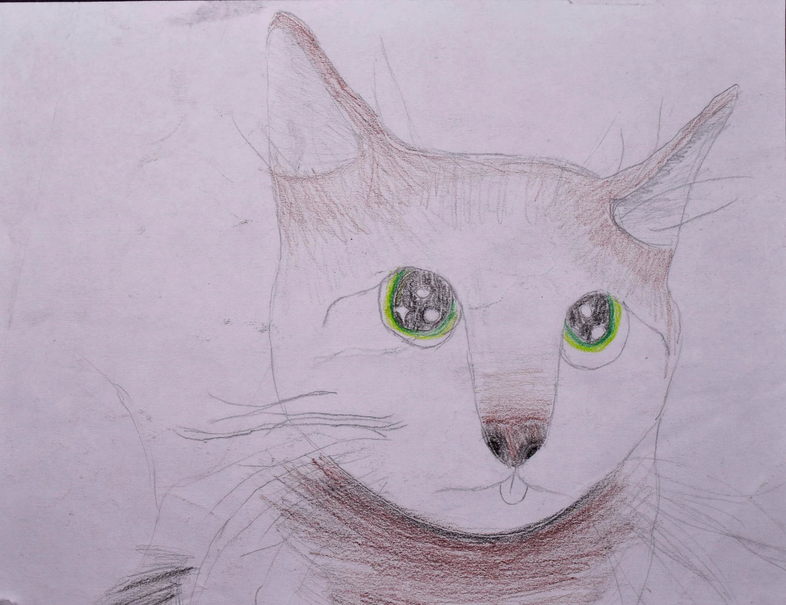 Dominic L Cathy-2.jpg