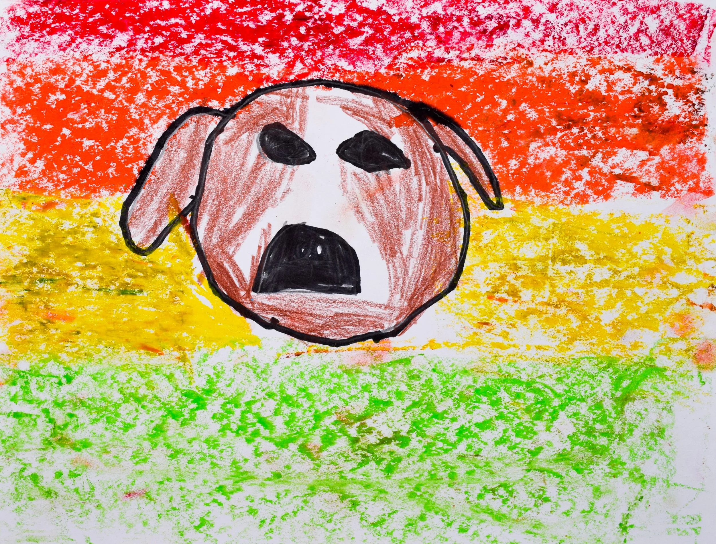 Camden H Barton-2.jpg