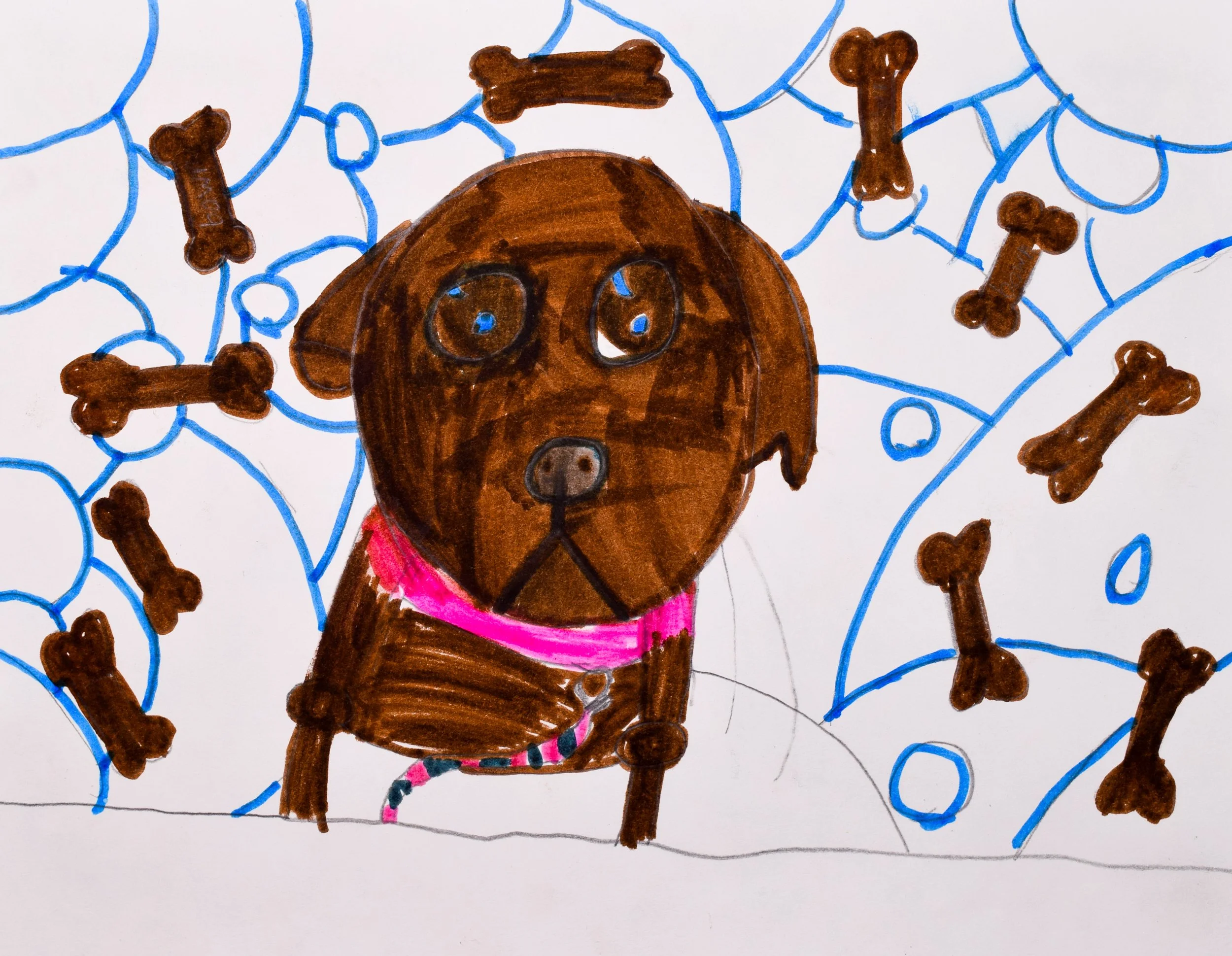 Quinn G Seyler-2.jpg