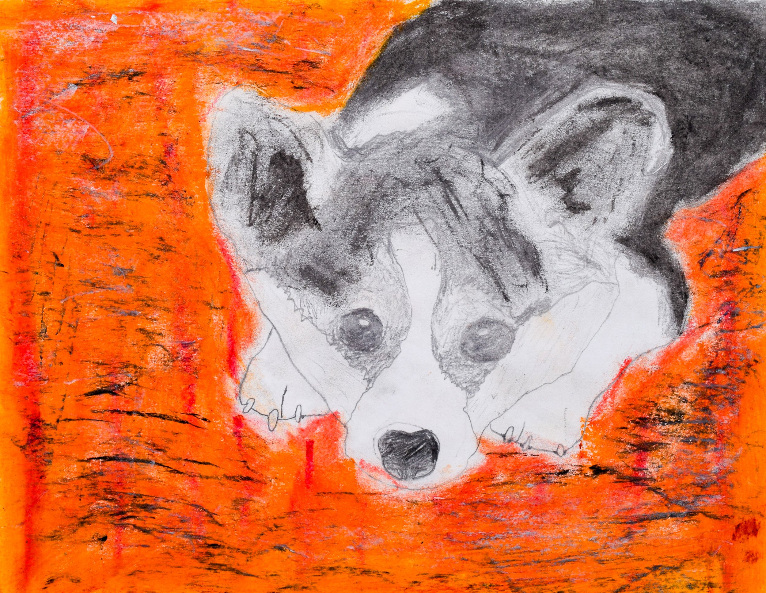 Luke D Simpson-2.jpg