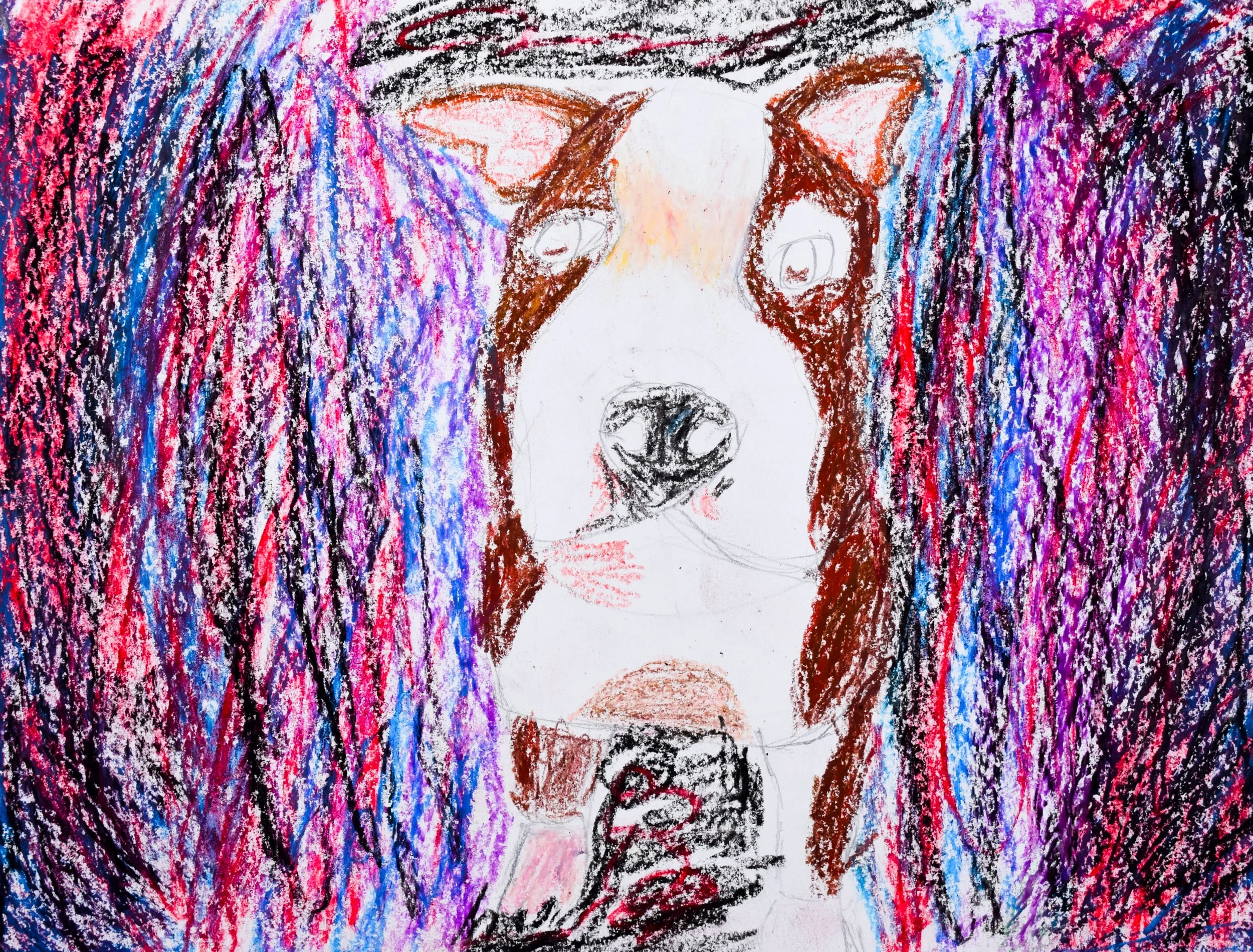 Hailee J Citrano-2.jpg