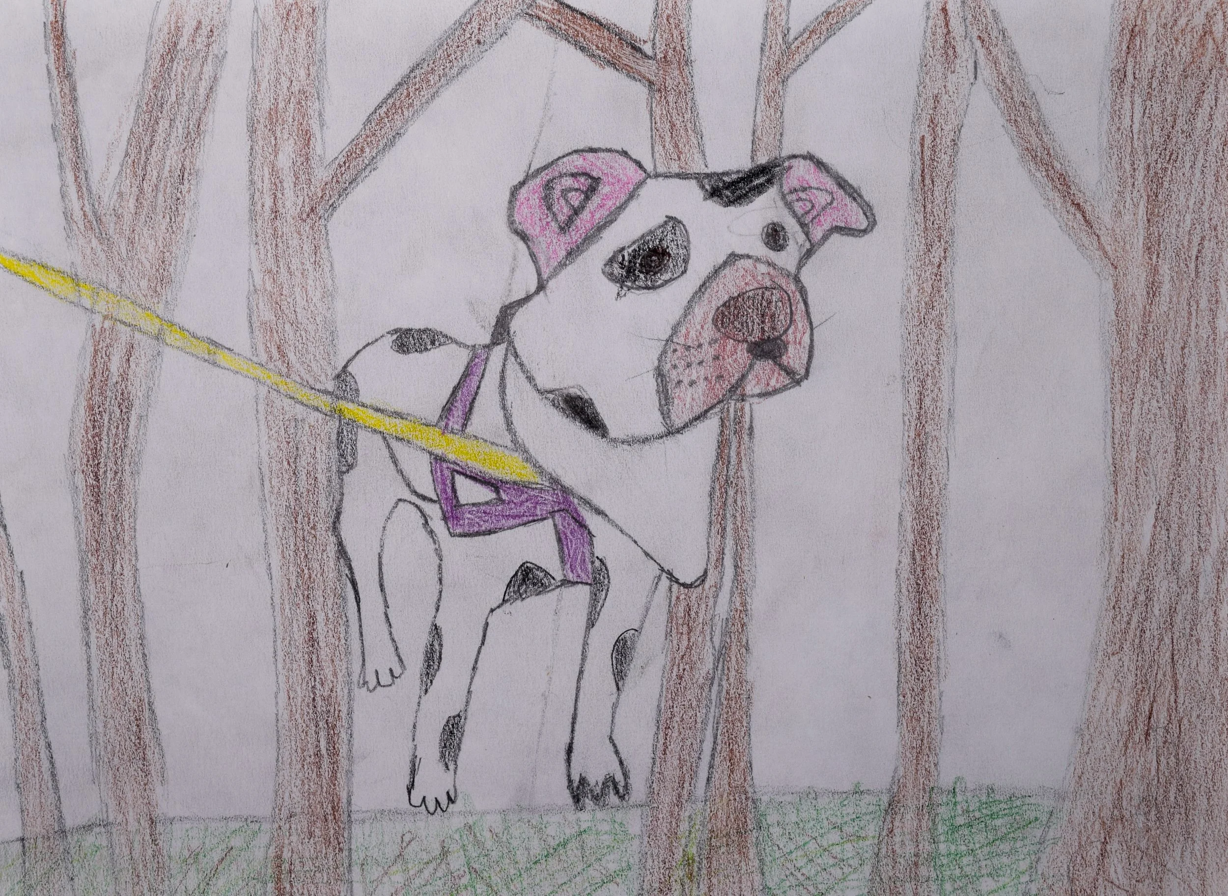 Addisyn T Liberto-2.jpg