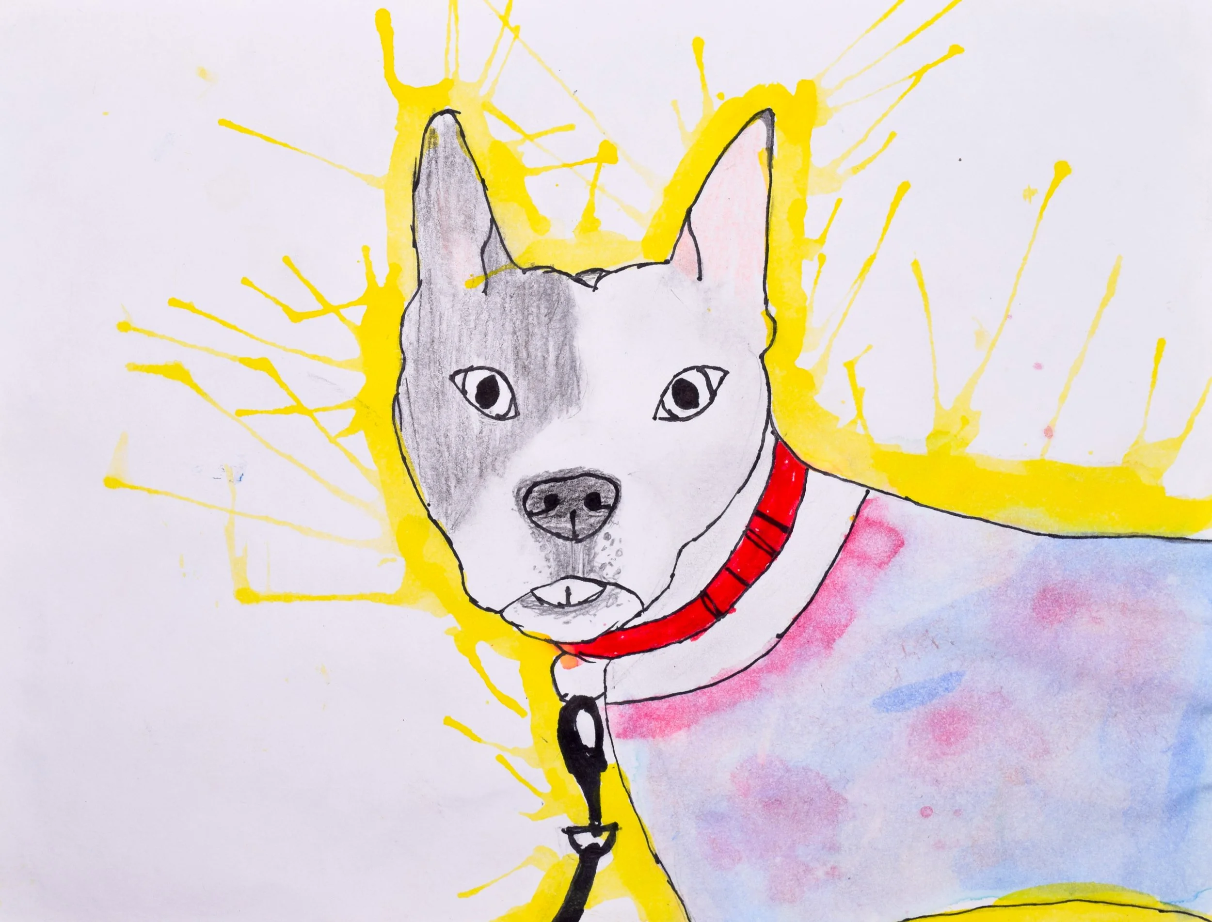 Ellie N Mesaros-2.jpg