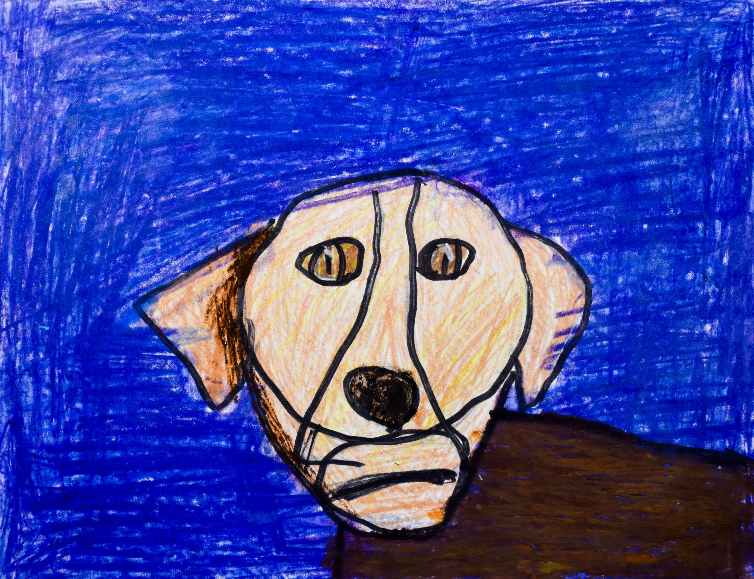 Nolan B Momenzadeh-2.jpg