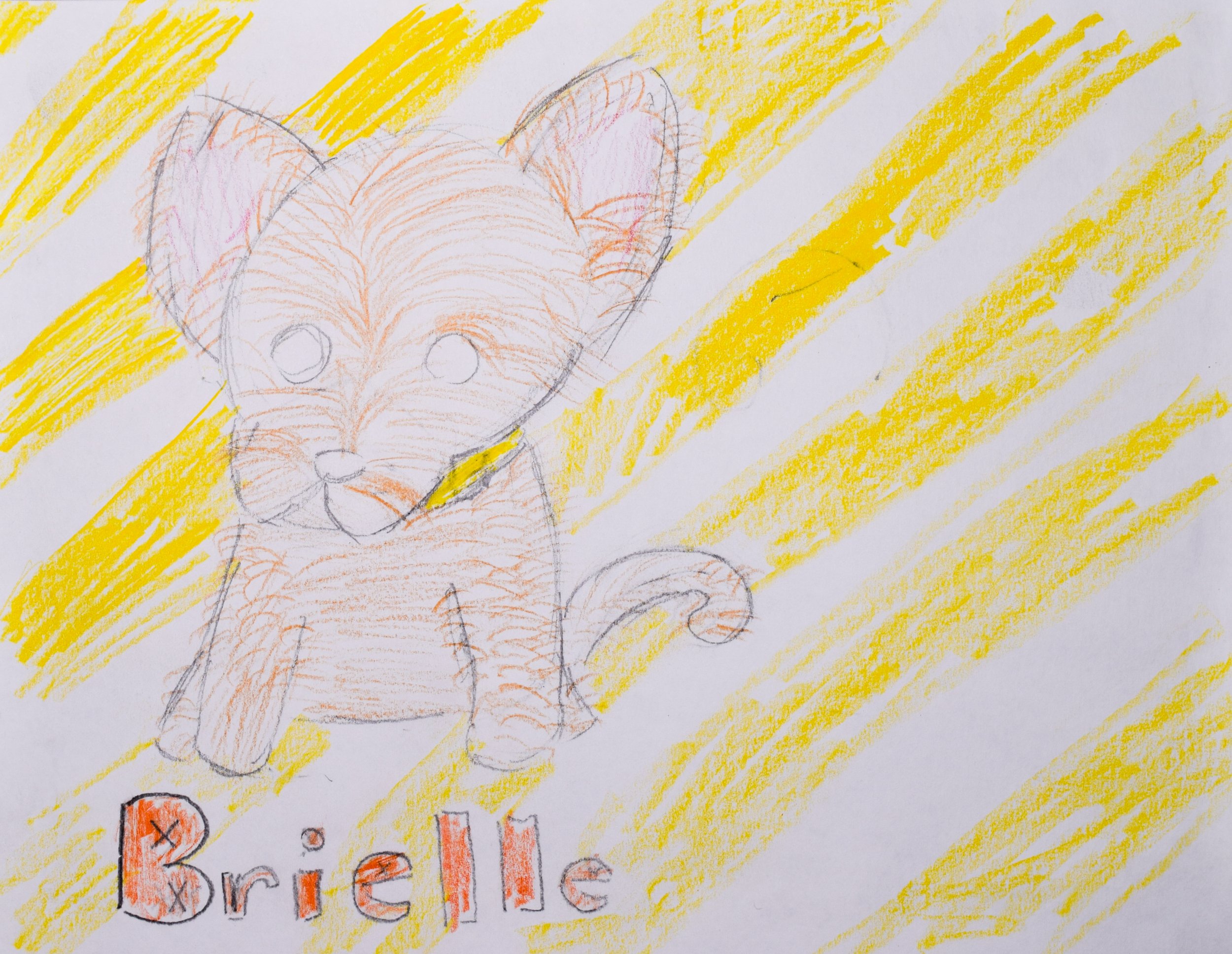 Michelle P Graham-2.jpg