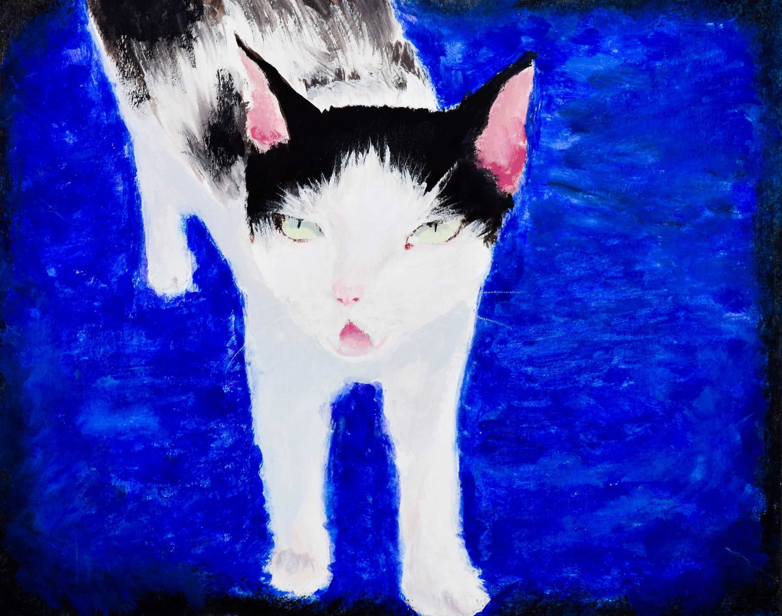 Krisha T Schappel-2.jpg