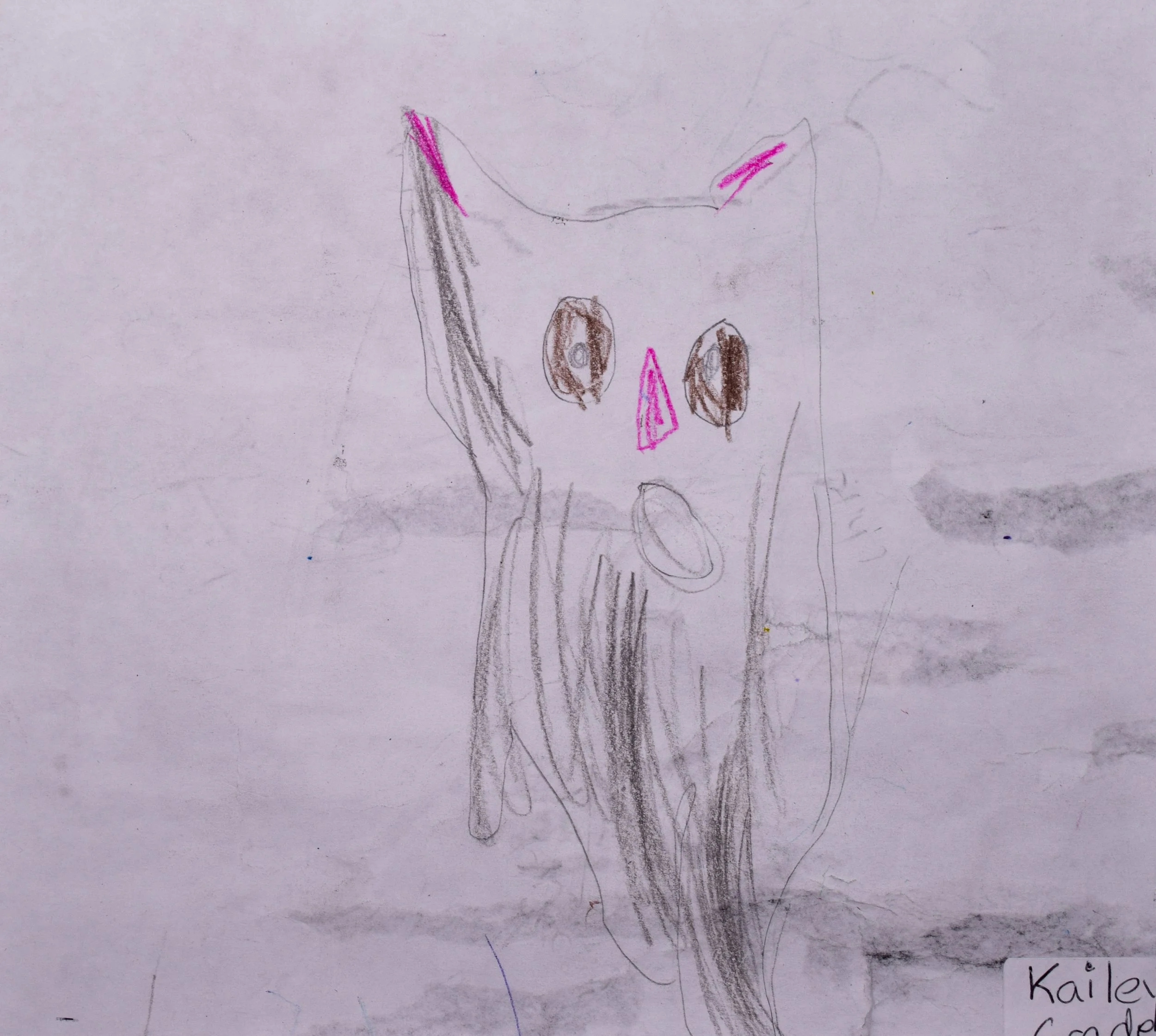 Kailey B Cathy-2.jpg