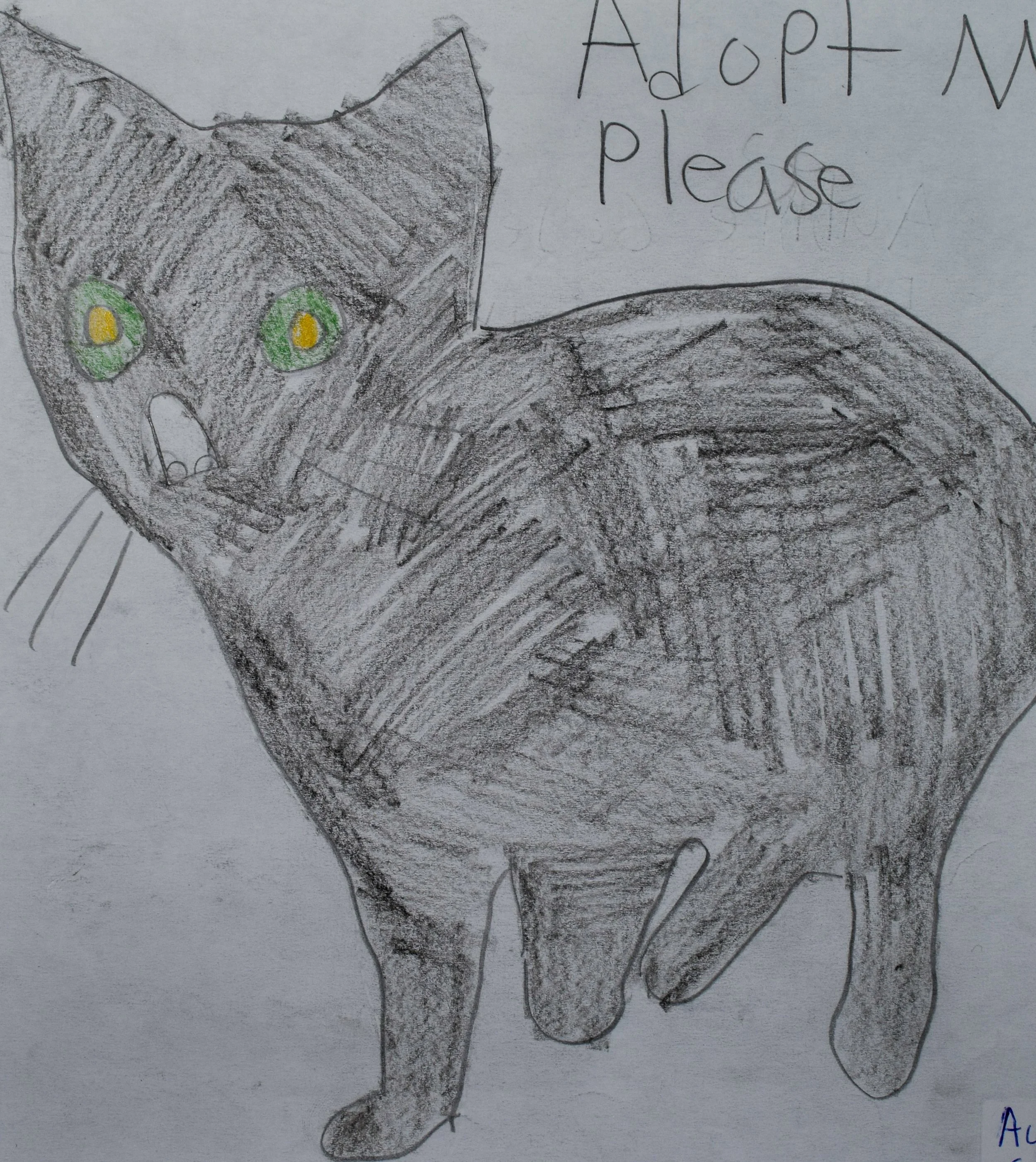 Aubie G Cathy (2)-2.jpg