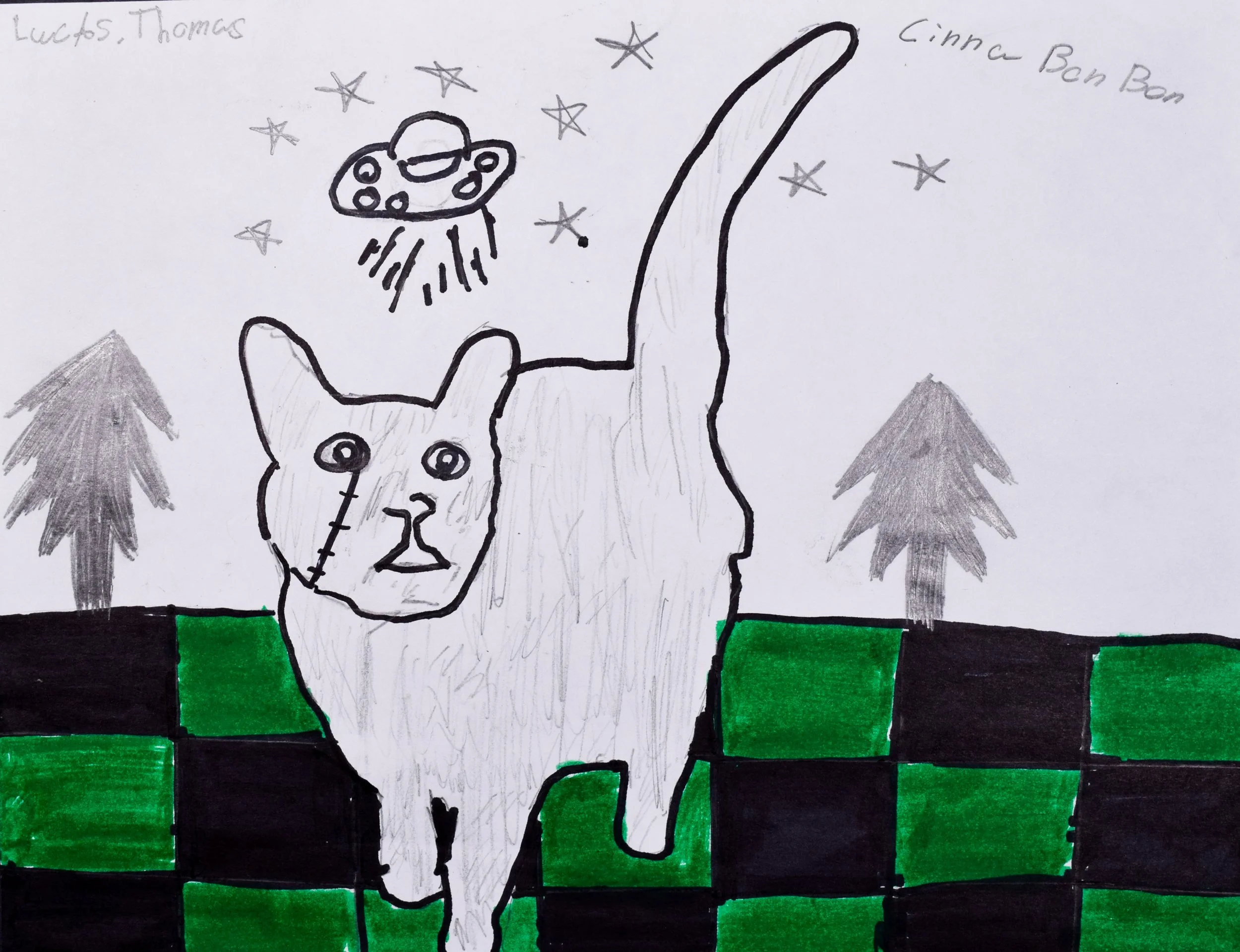 Lucas T Honaker-2.jpg