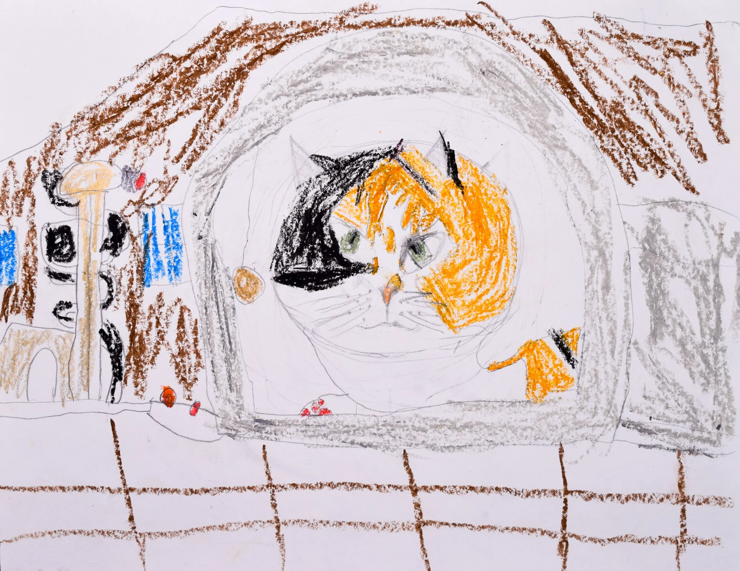 Paxton S Boyle-2.jpg