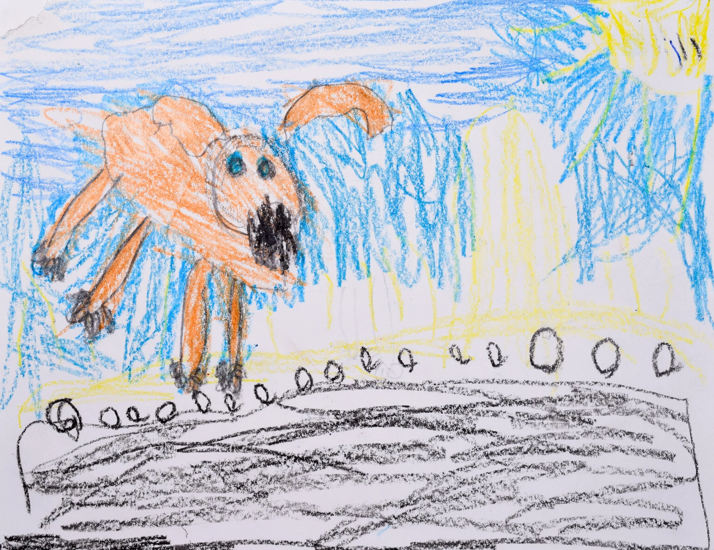 Camden L Boyle-2.jpg