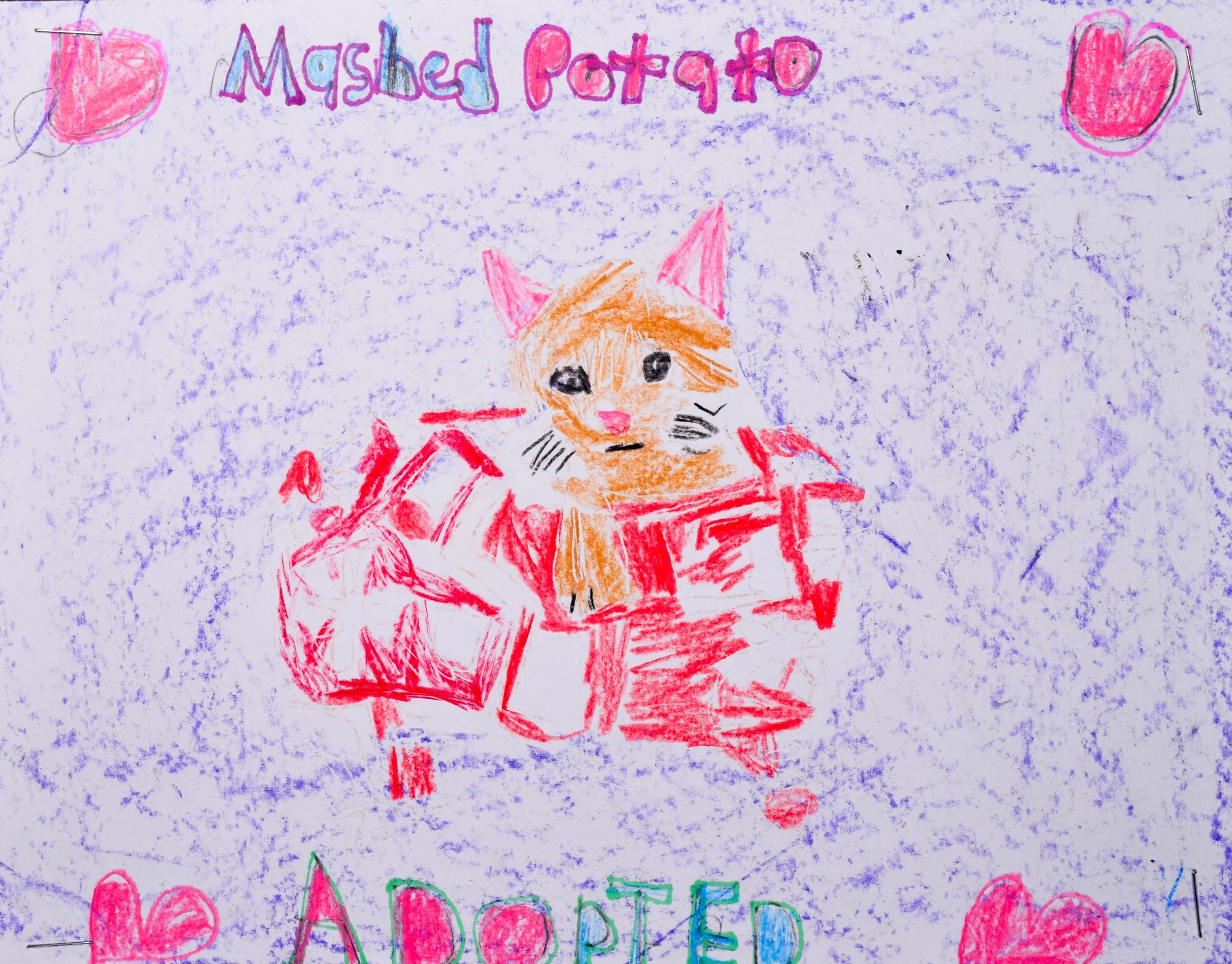 Taylor S Robertson-2.jpg