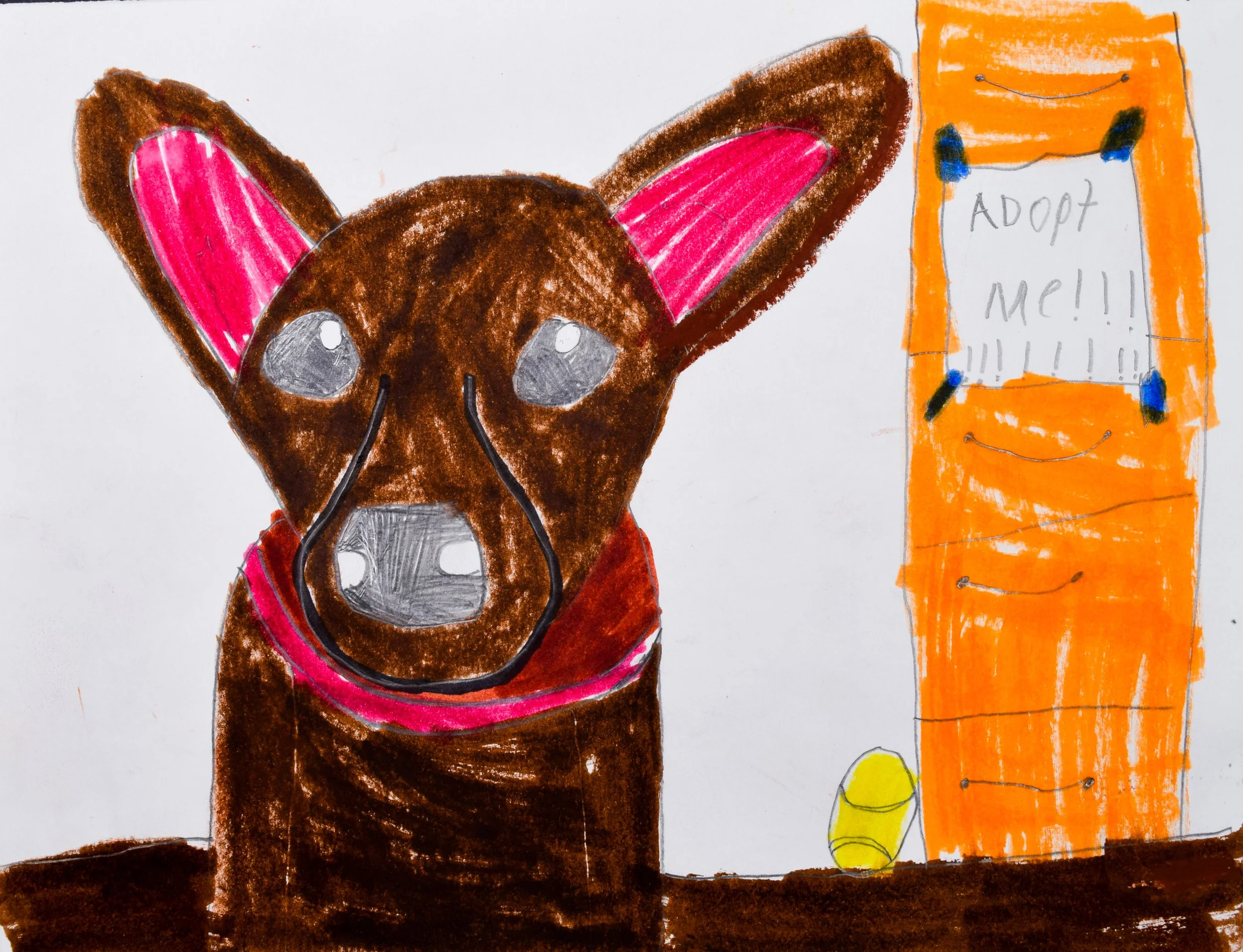 Andrew D Thompson-2.jpg