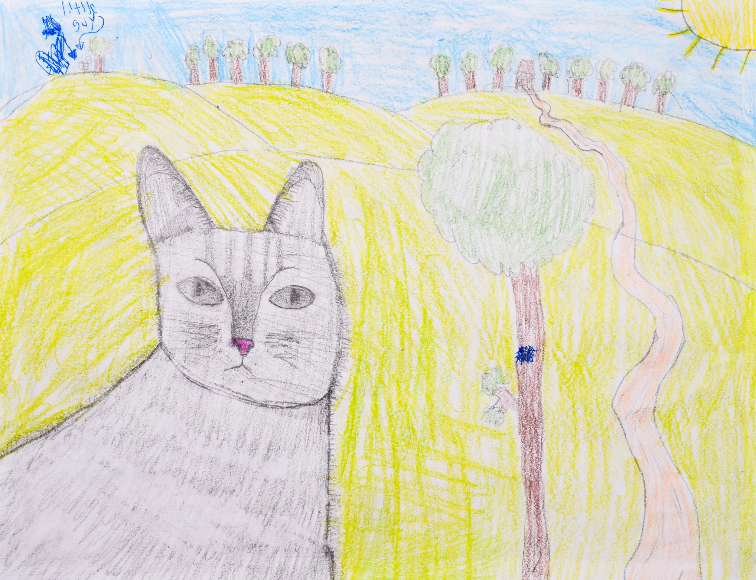 Aiden C Simpson-2.jpg