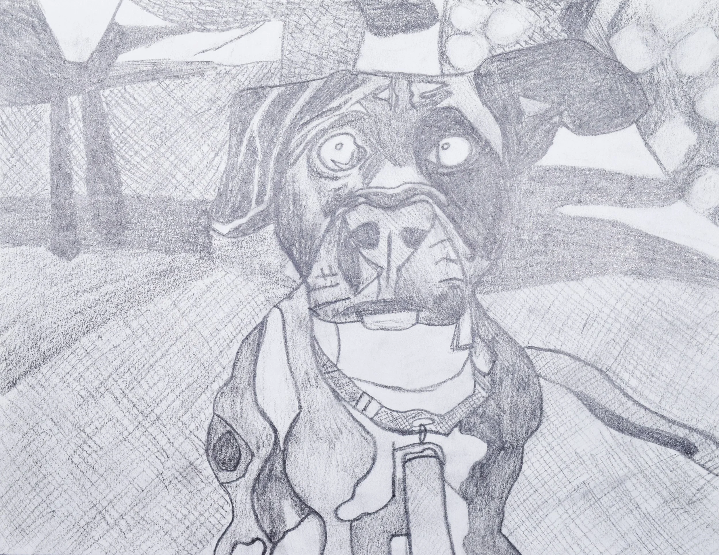 Jayden J Price-2.jpg