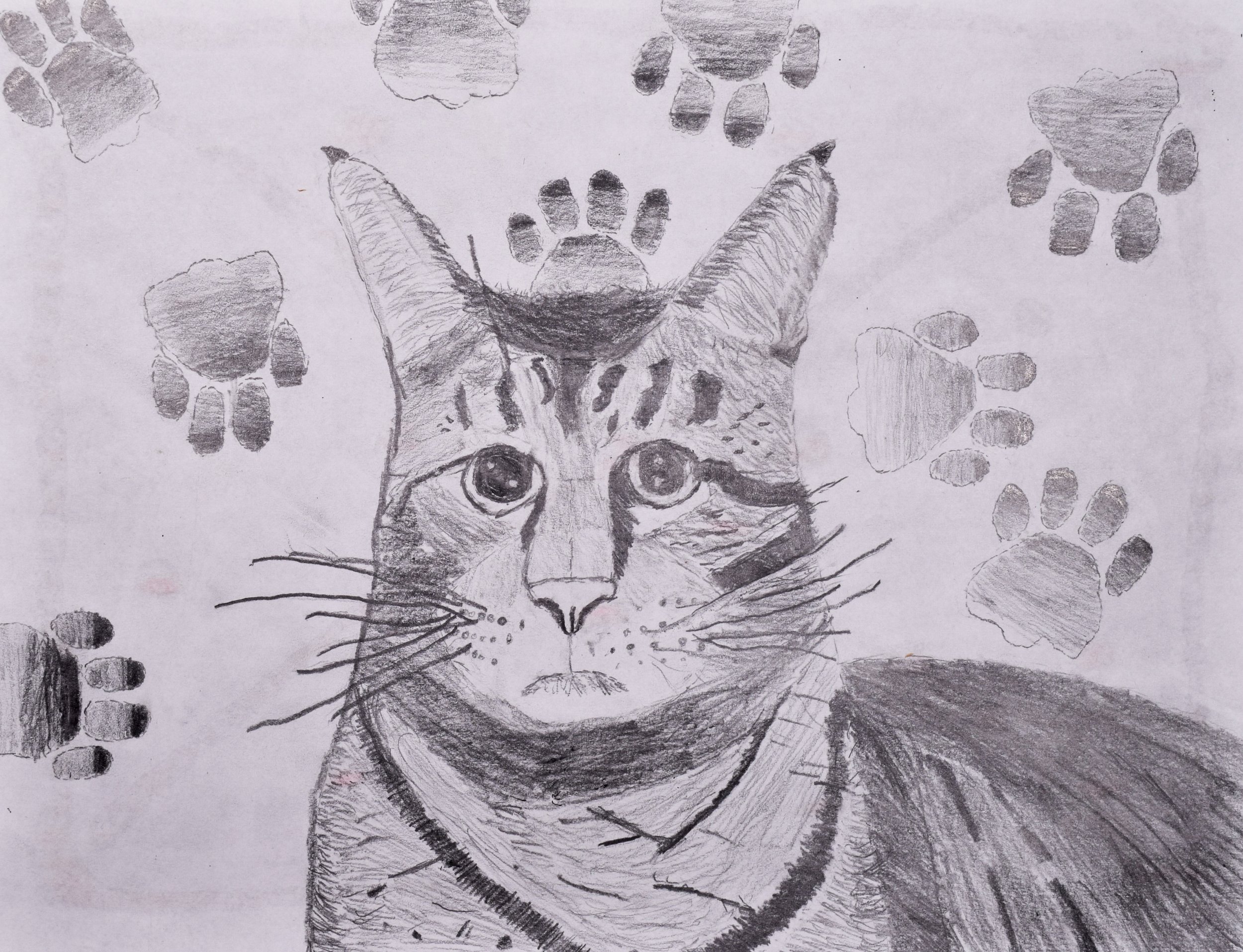 Adam B Simpson-2.jpg