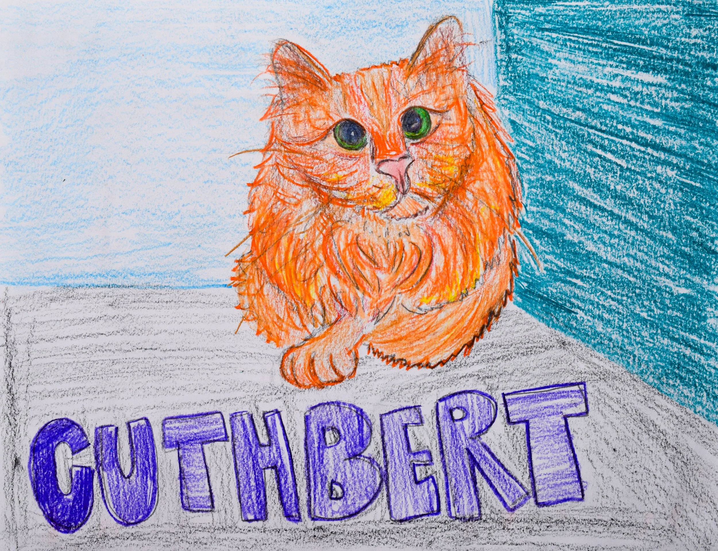 Amelia S Graham-2.jpg