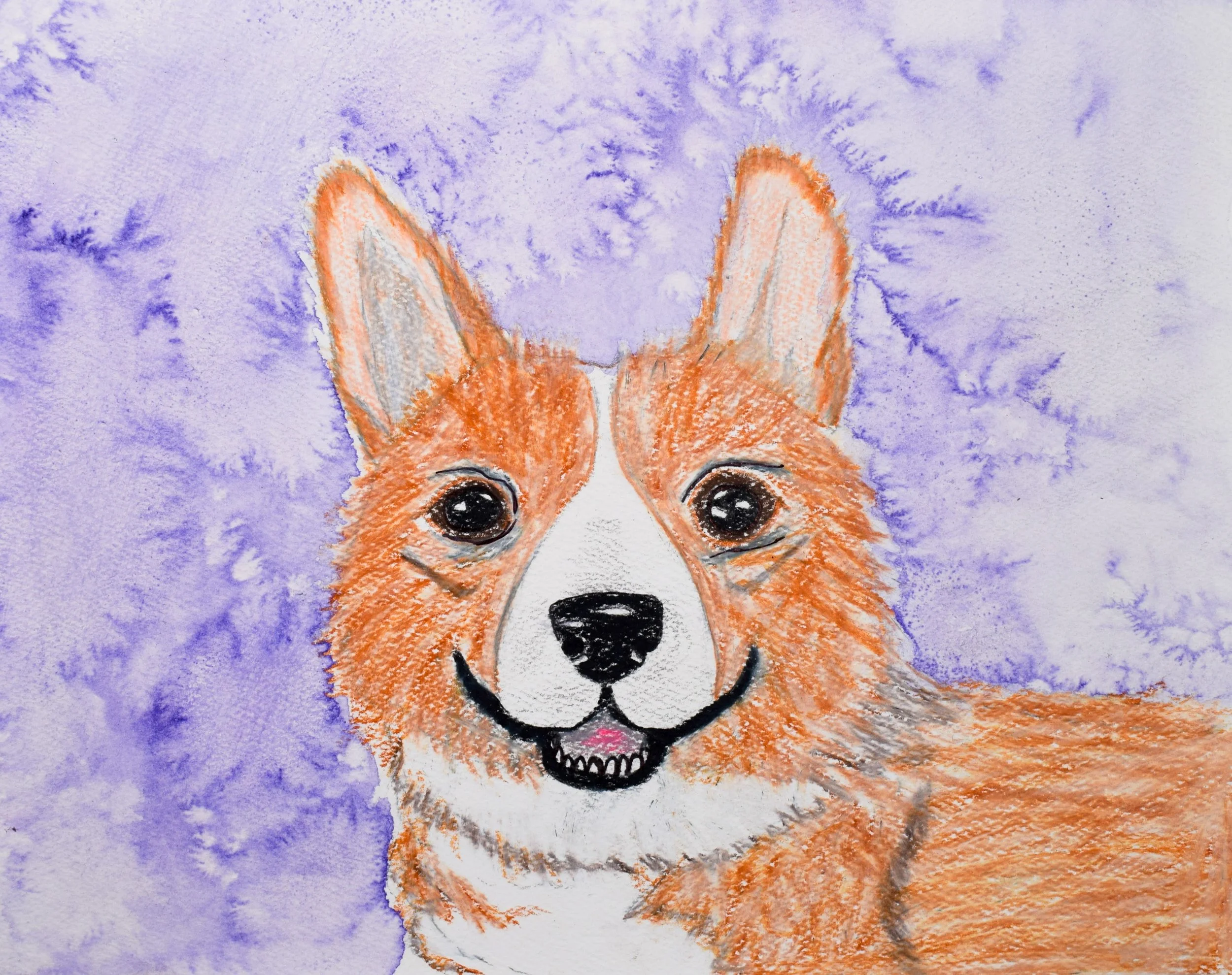 Mrs. Amy H. (Teacher)