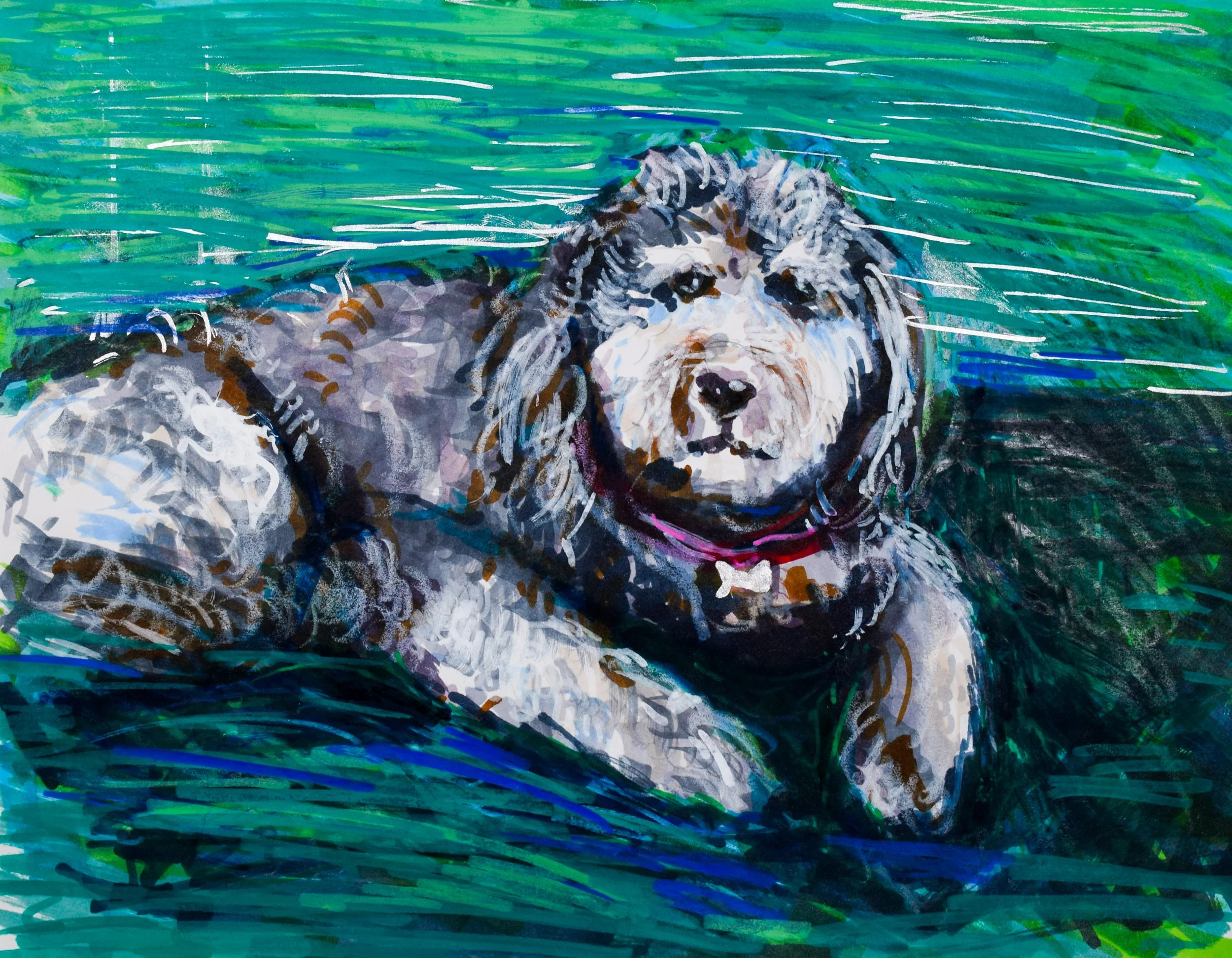 Michele Momenzadeh (Teacher)