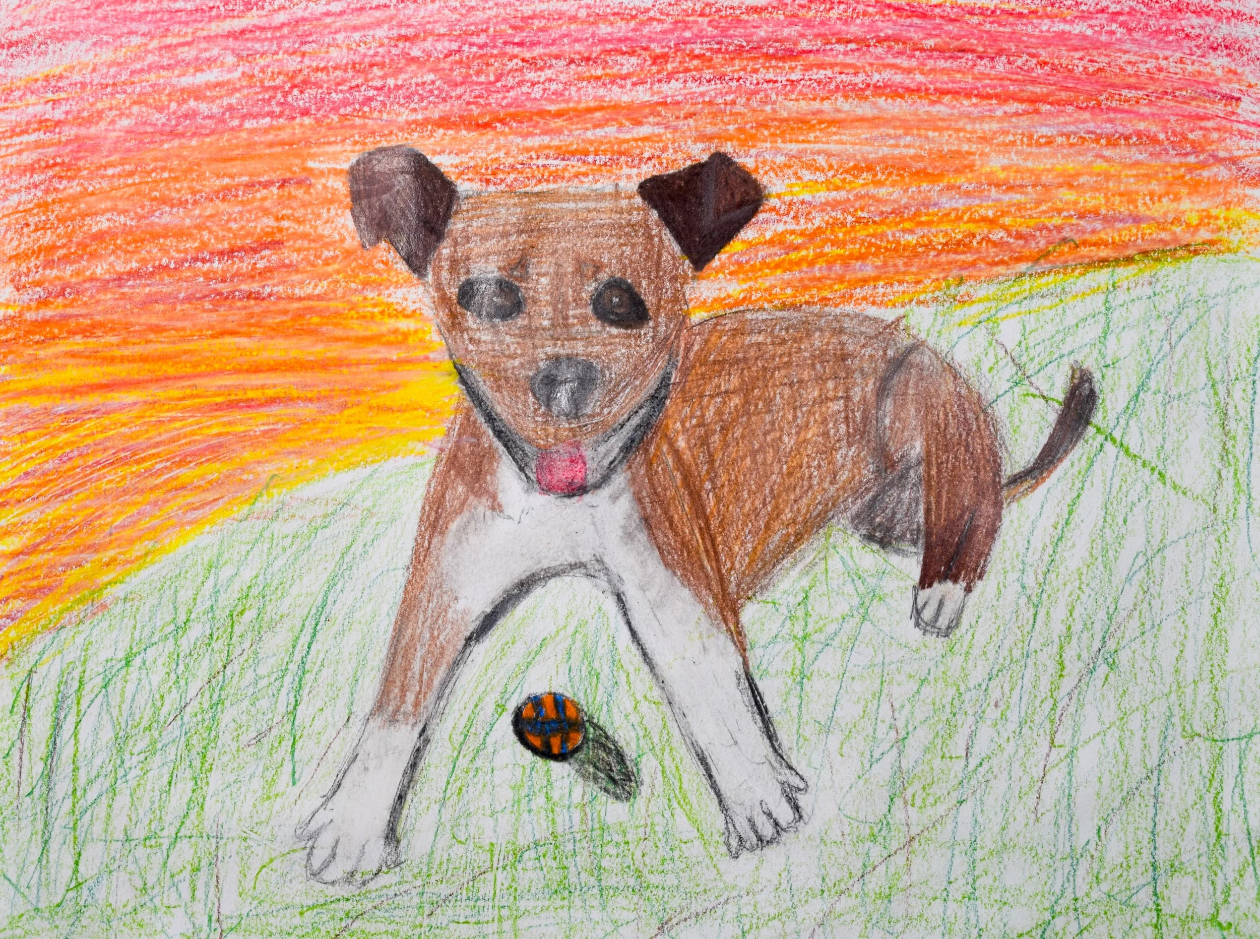 Hannah S Graham-2.jpg