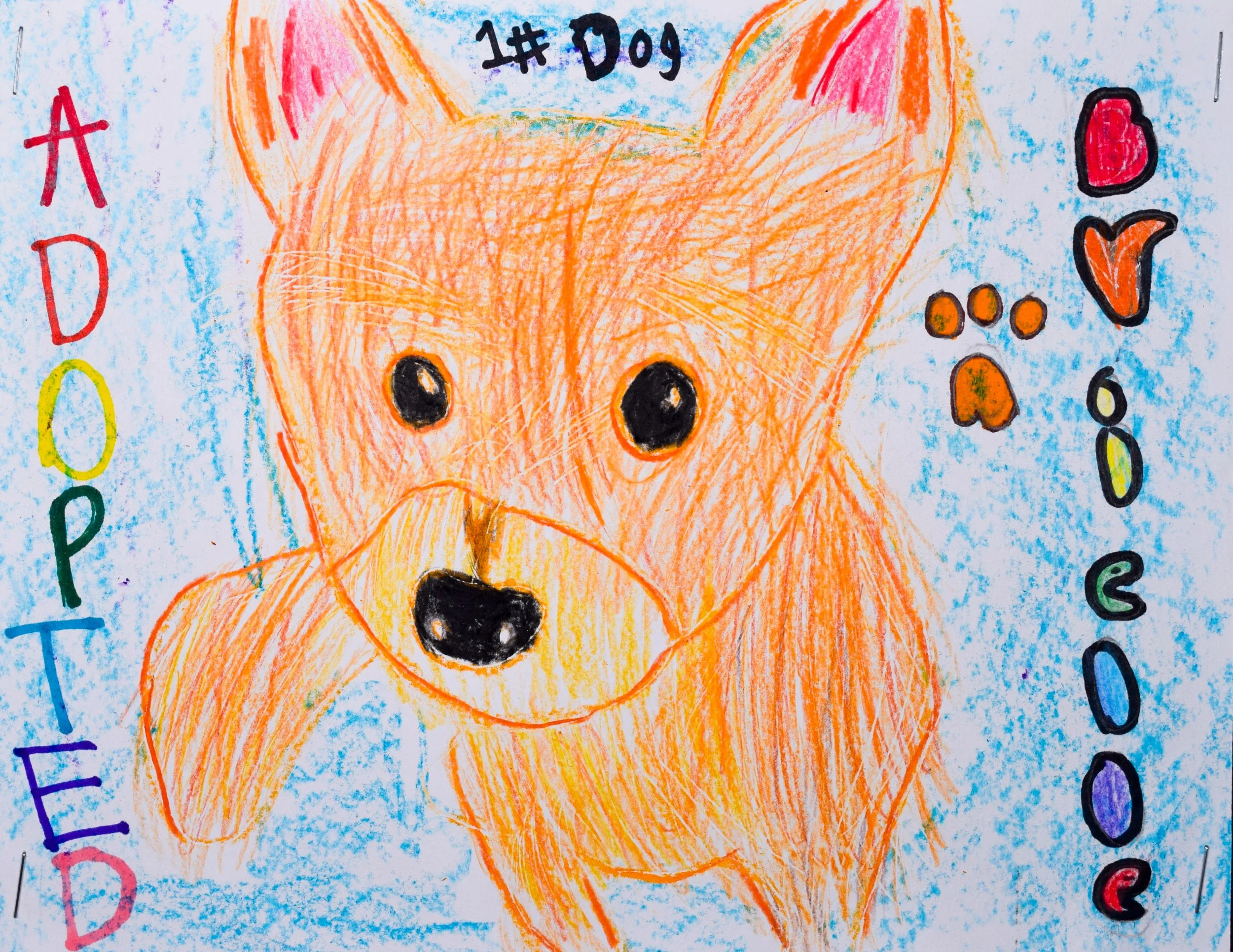 Noelle G Robertson-2.jpg