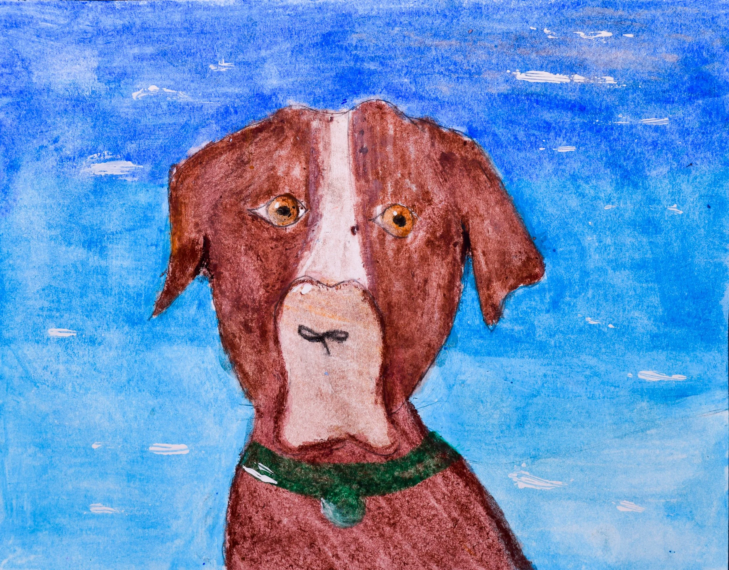 Sophia E Momenzadeh-2.jpg