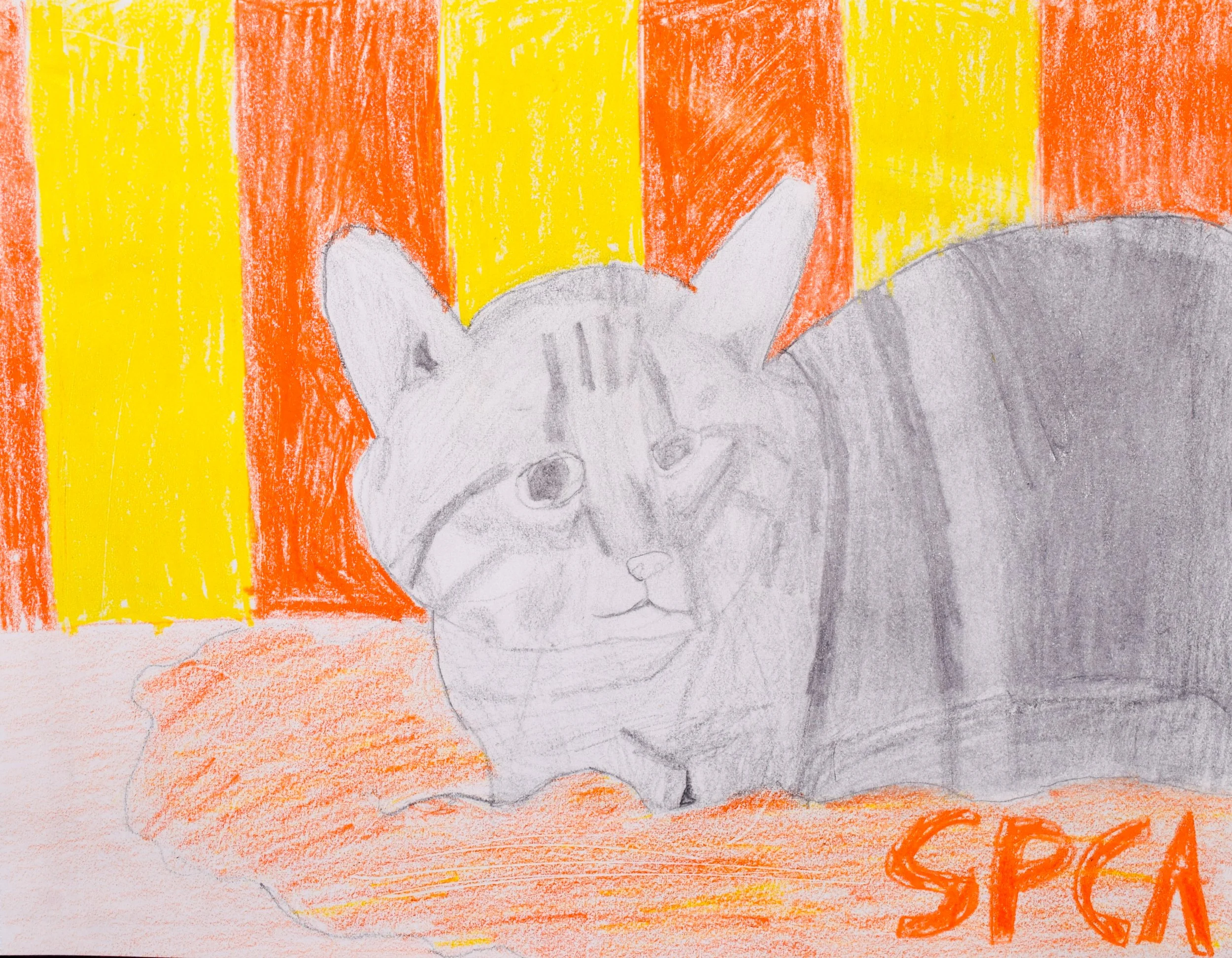 James H Simpson-2.jpg