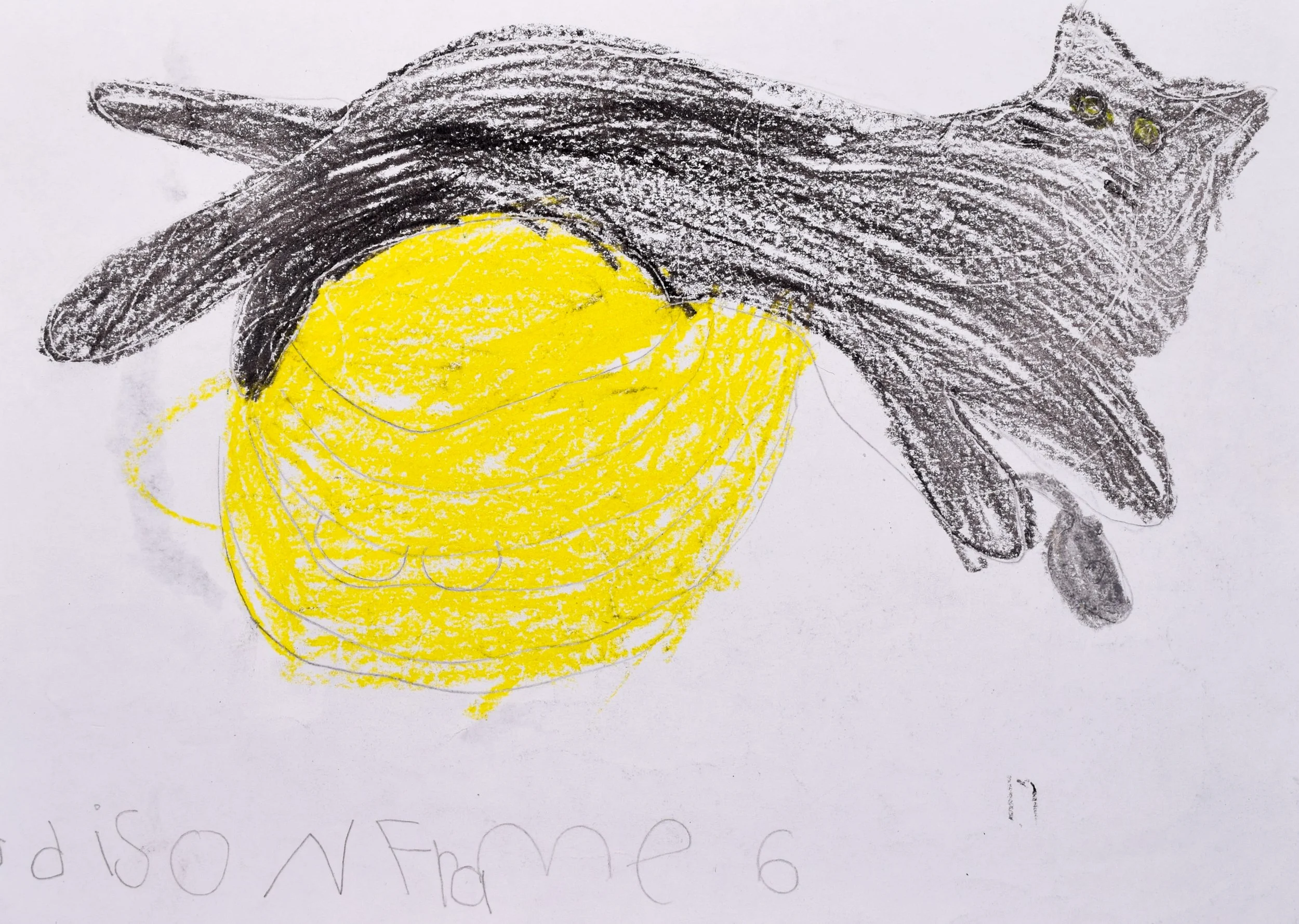 Addison F Cathy-2.jpg