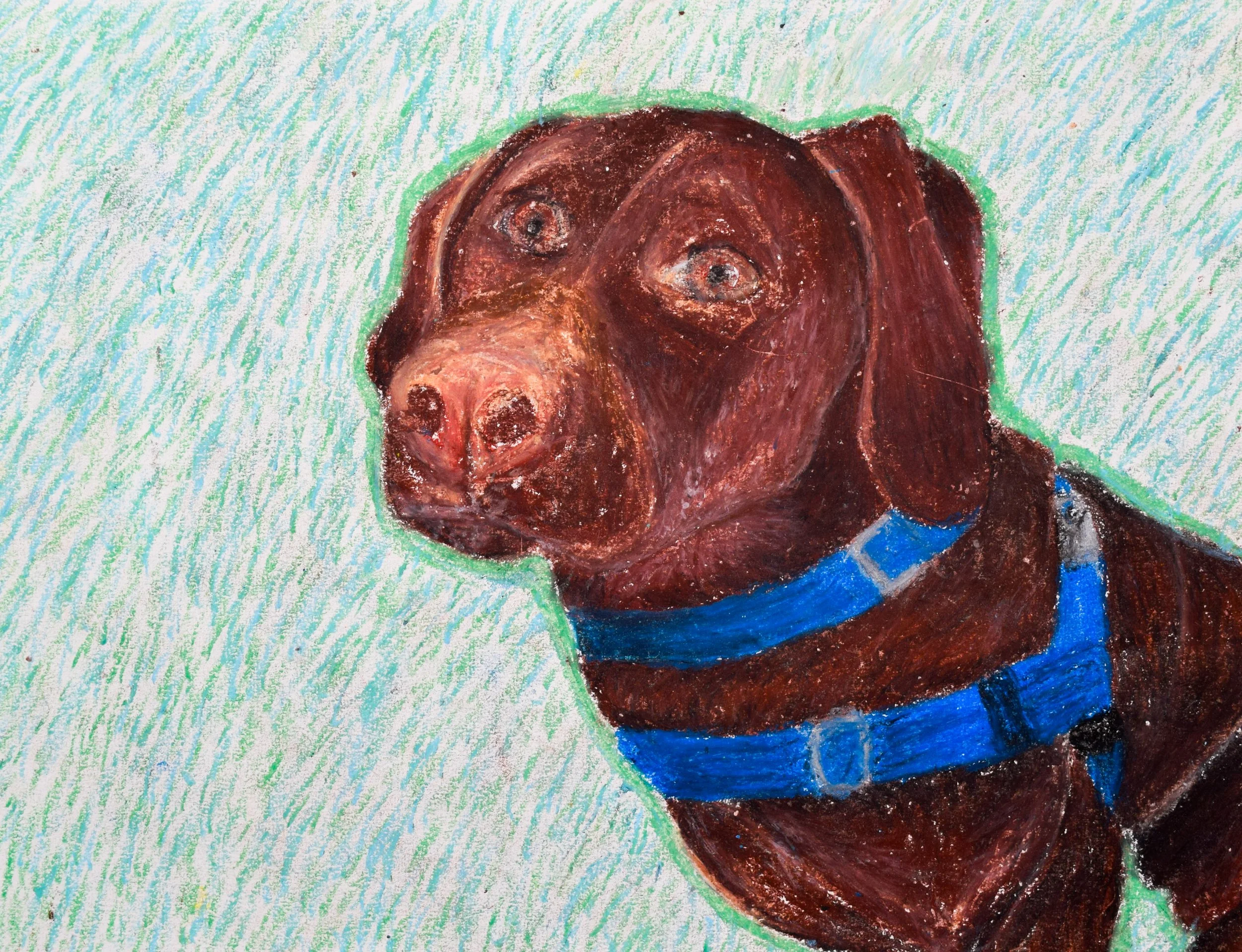 Brielle B Citrano-2.jpg