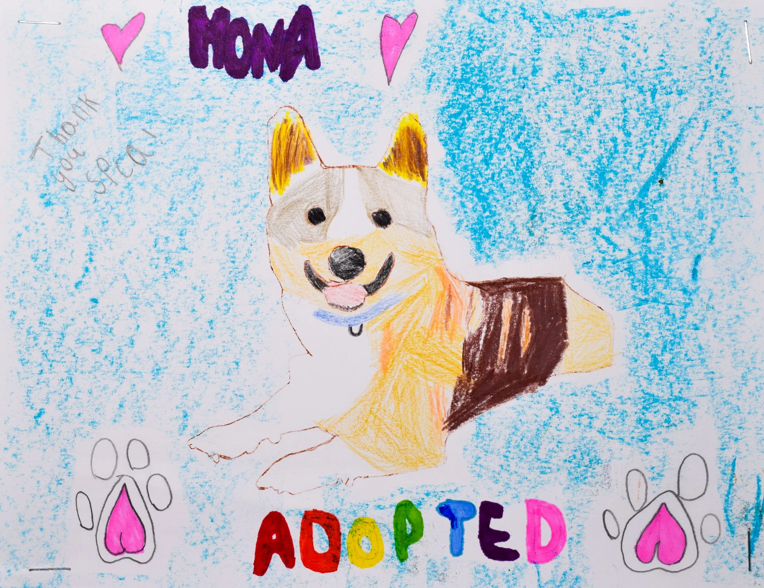 Anastasia M Robertson-2.jpg