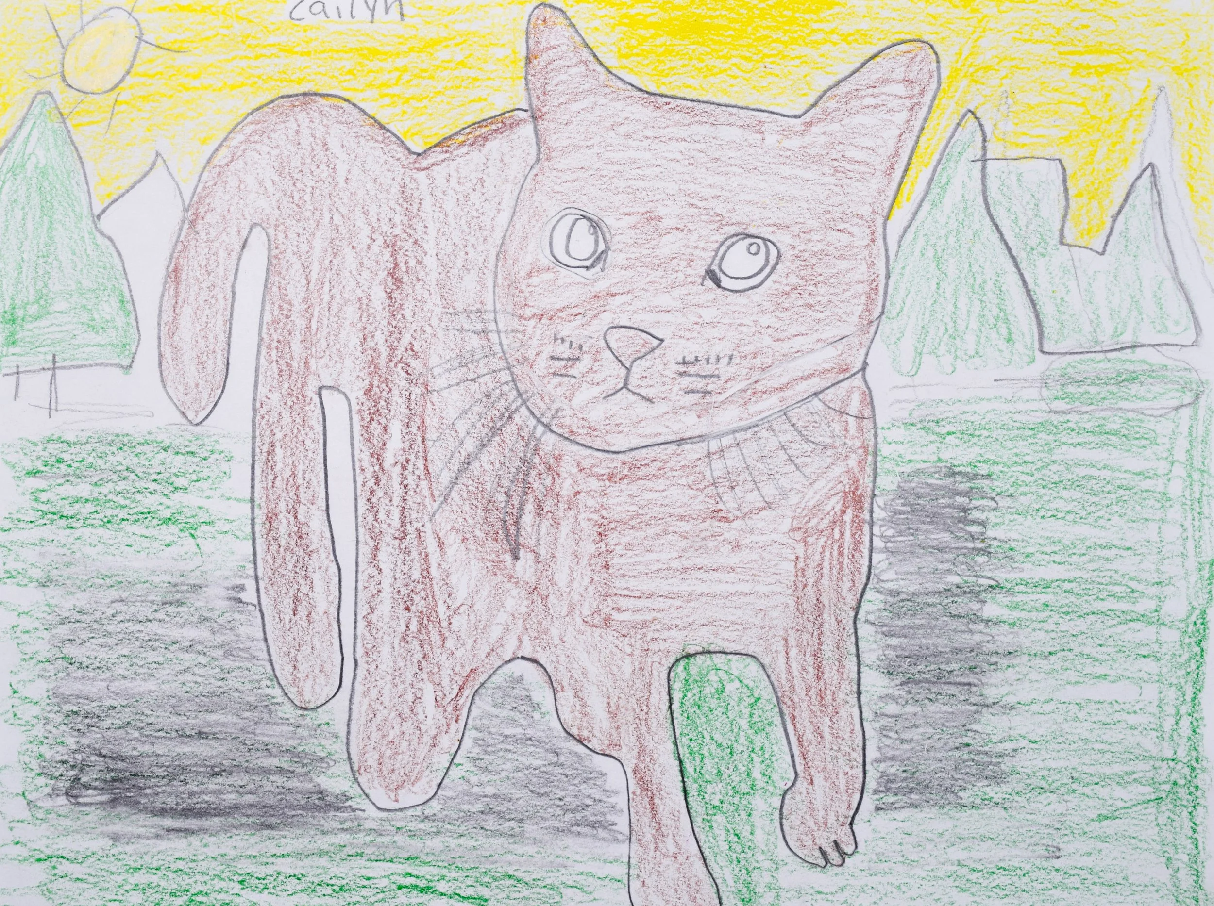 Cailyn A Liberto-2.jpg