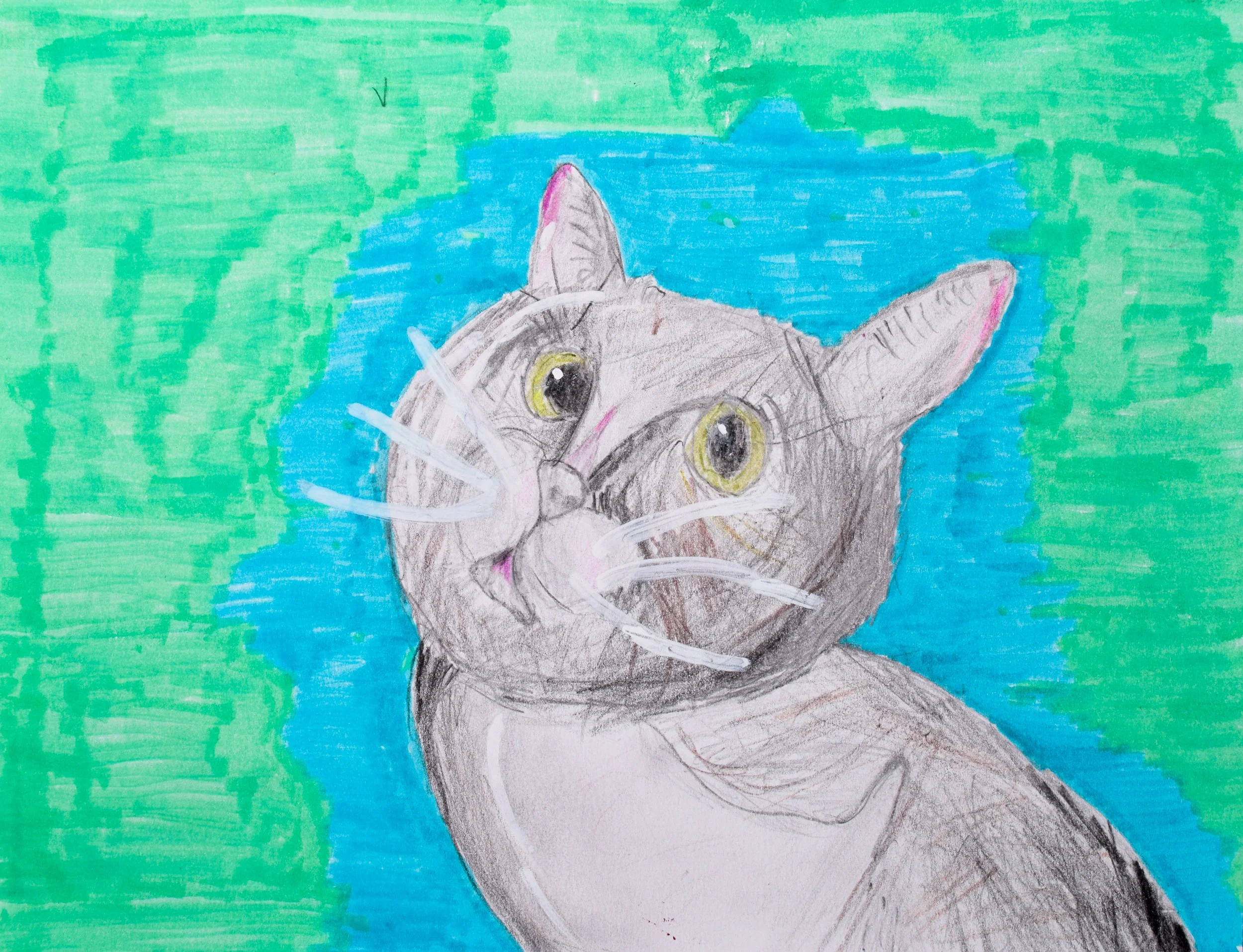 Jack T Momenzadeh-2.jpg