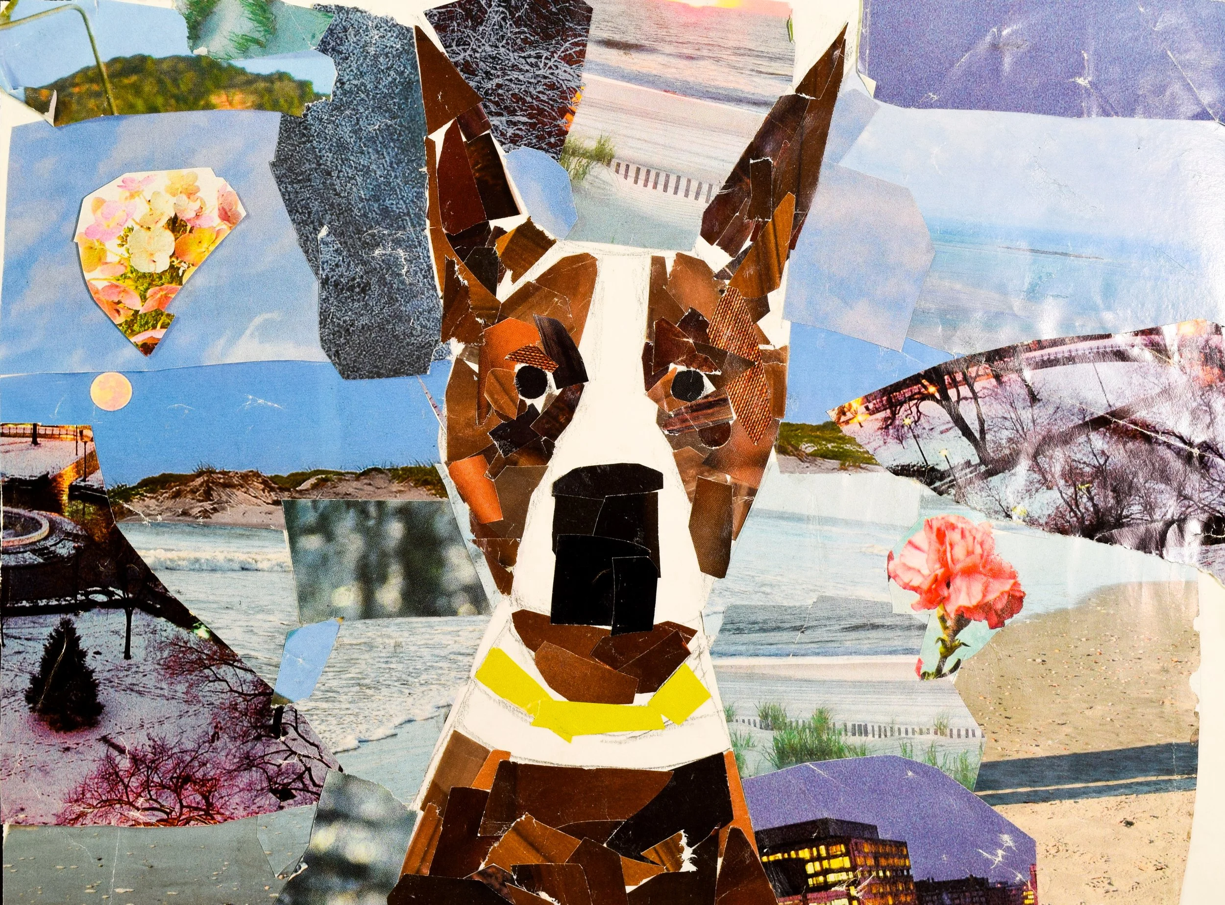 Dea M Schappel-2.jpg