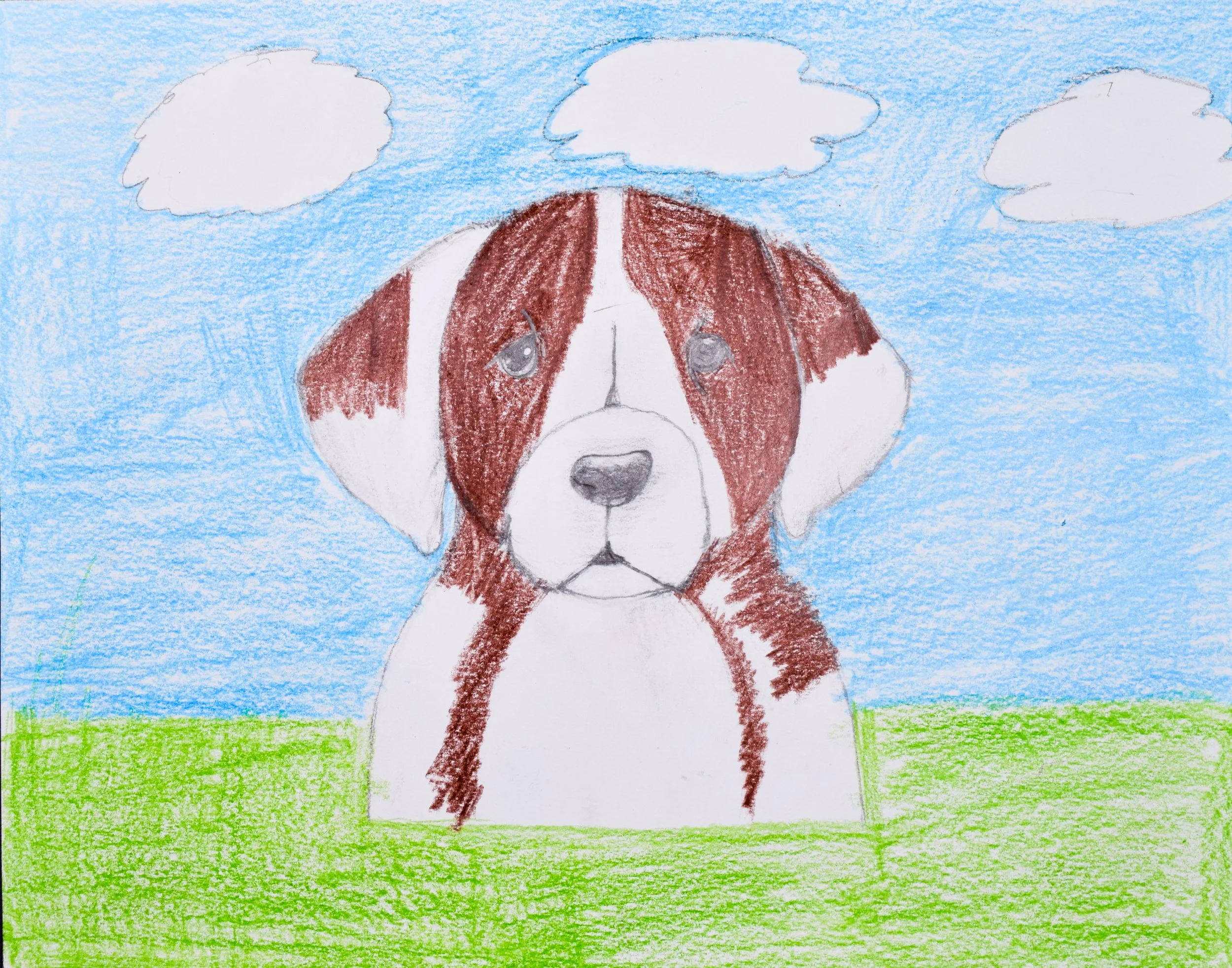 Jasmin A Fains-2.jpg