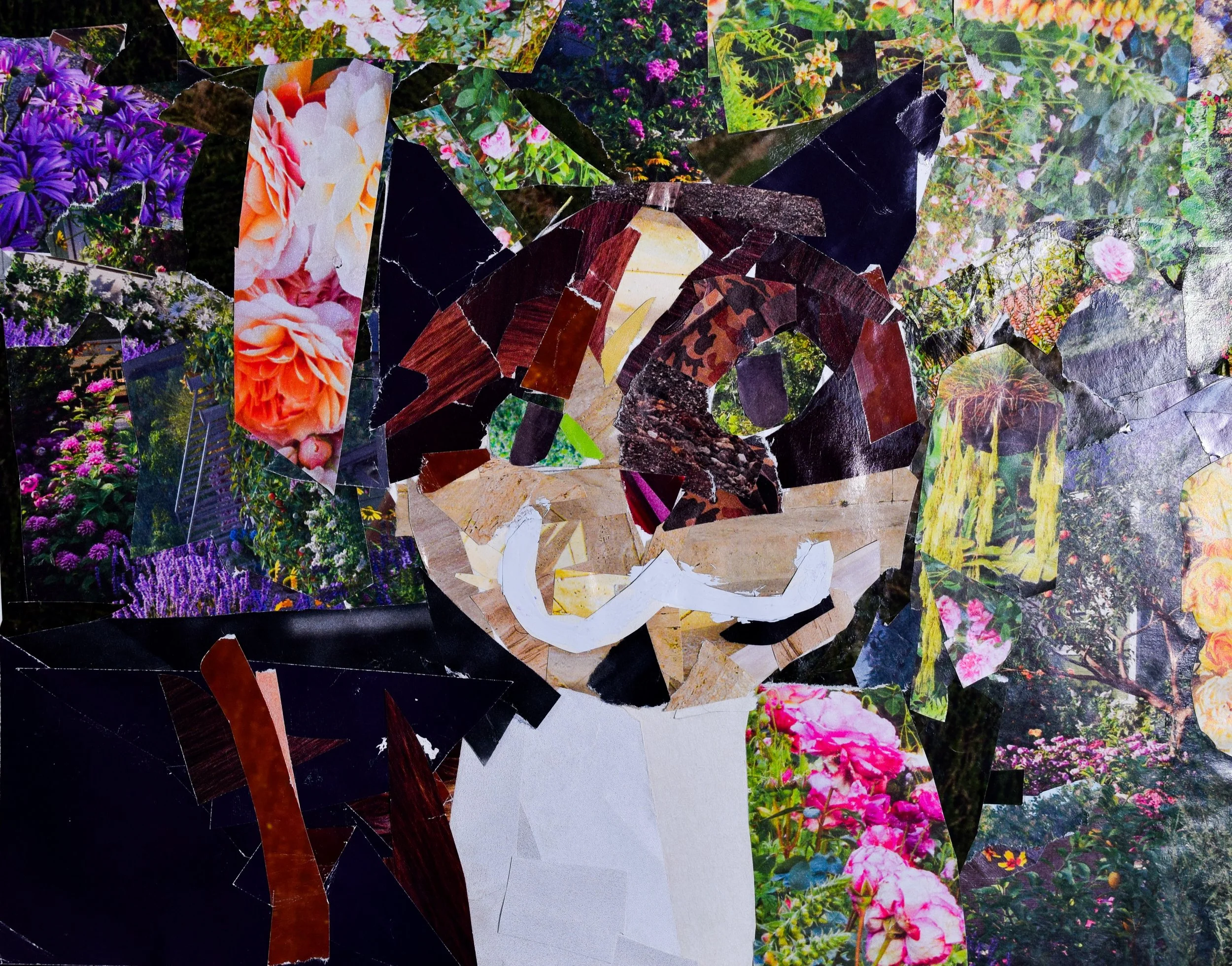 Niwani K Schappel-2.jpg