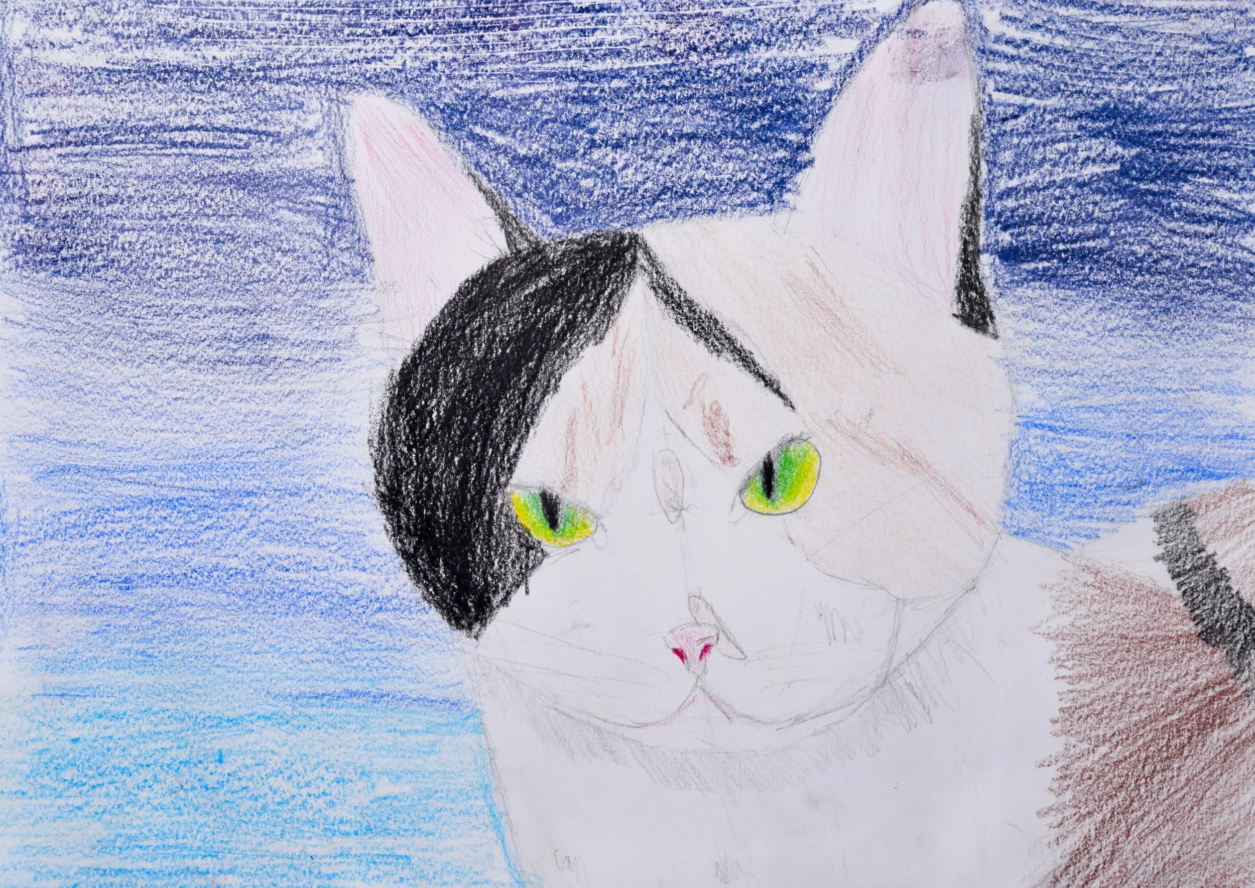 Kylie C Graham-2.jpg